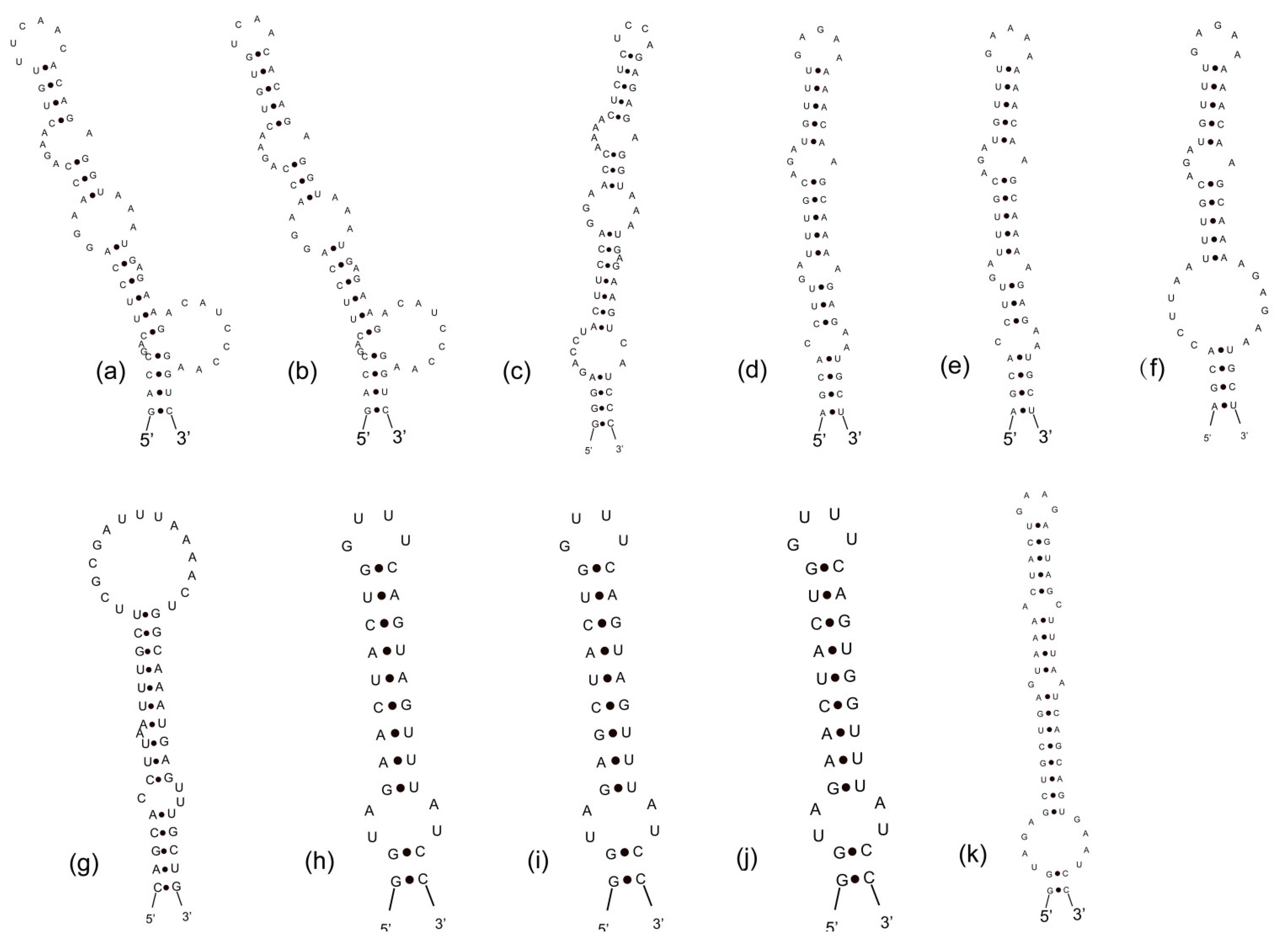 Diversity 14 00301 g009