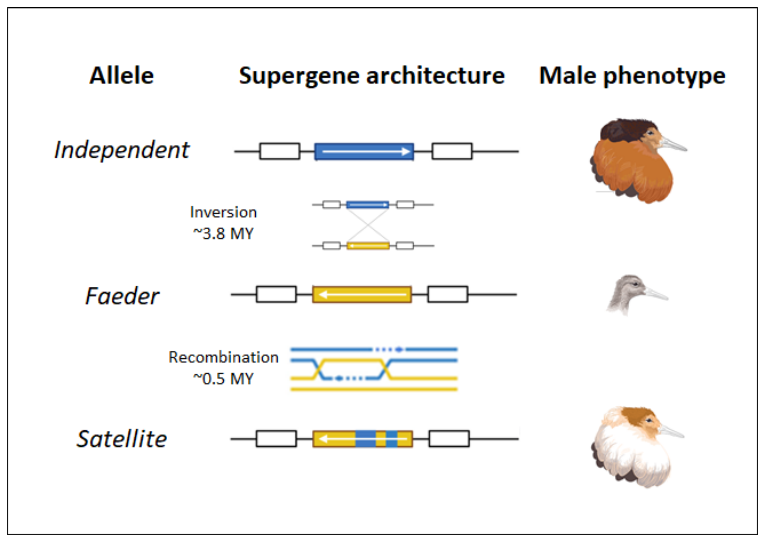Diversity 14 00307 g003 Diversity 14 00307 g003