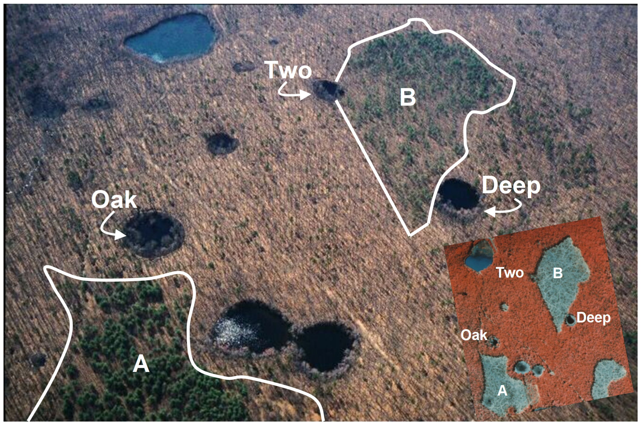 Diversity 14 00309 g001 Diversity 14 00309 g001