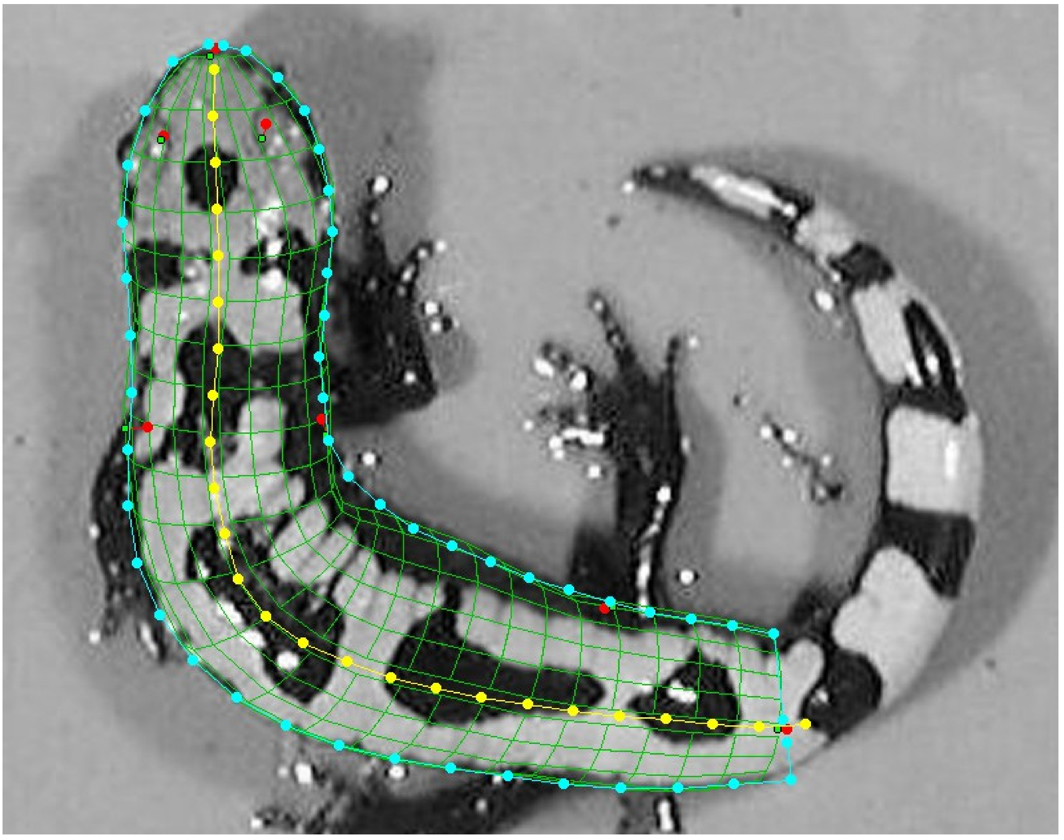 Diversity 14 00309 g002 Diversity 14 00309 g002