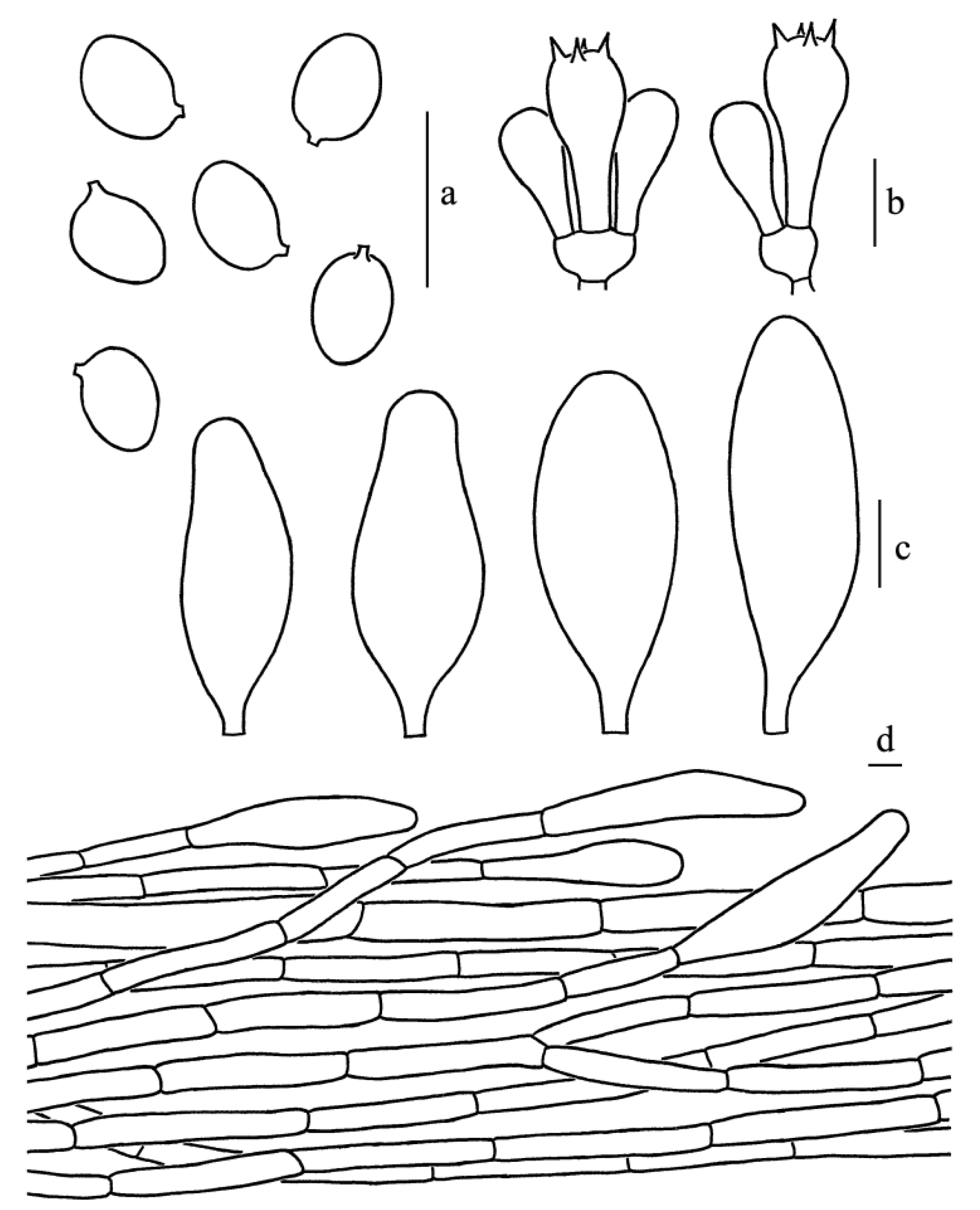 Diversity 14 00314 g003 550