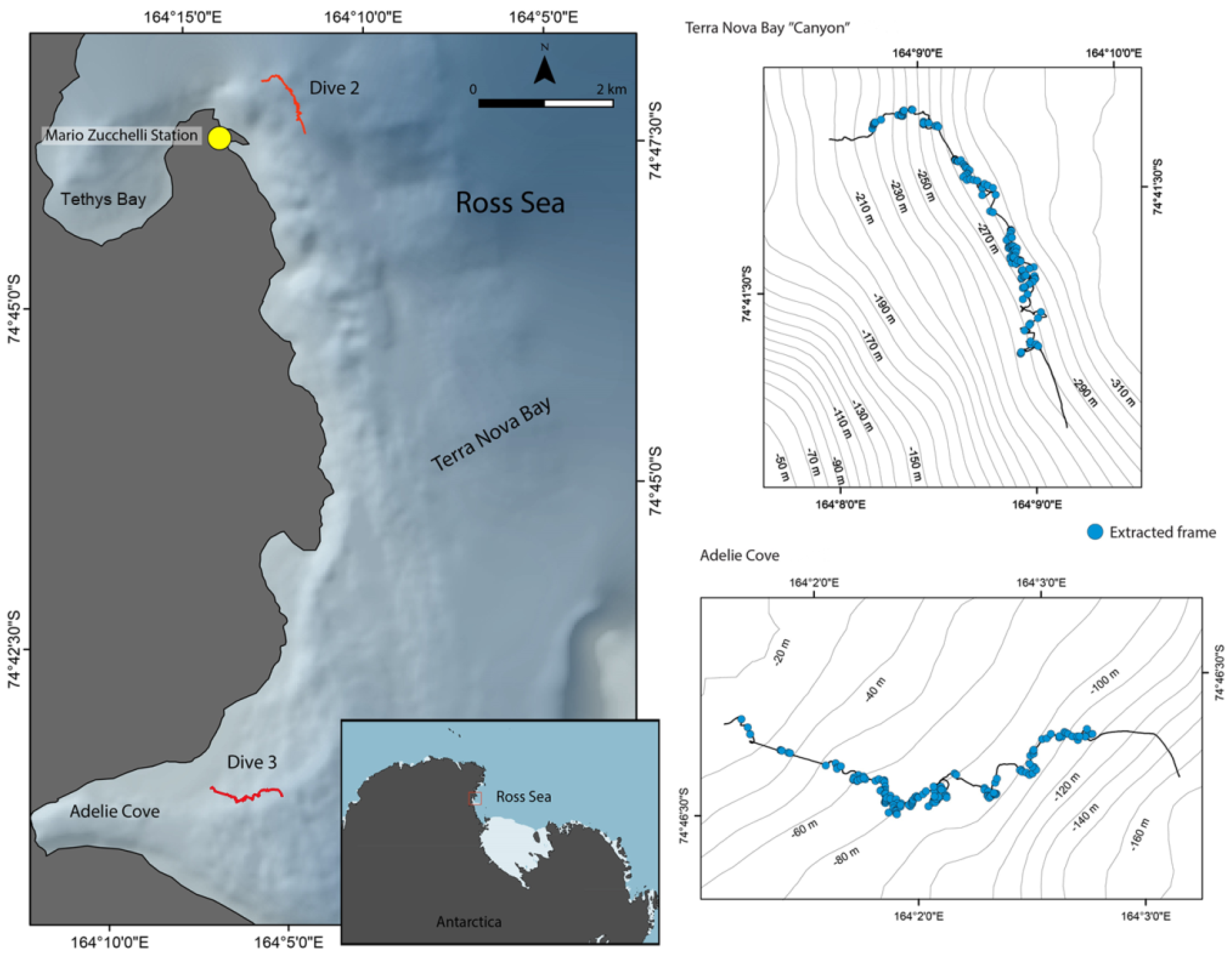 Diversity 14 00315 g001
