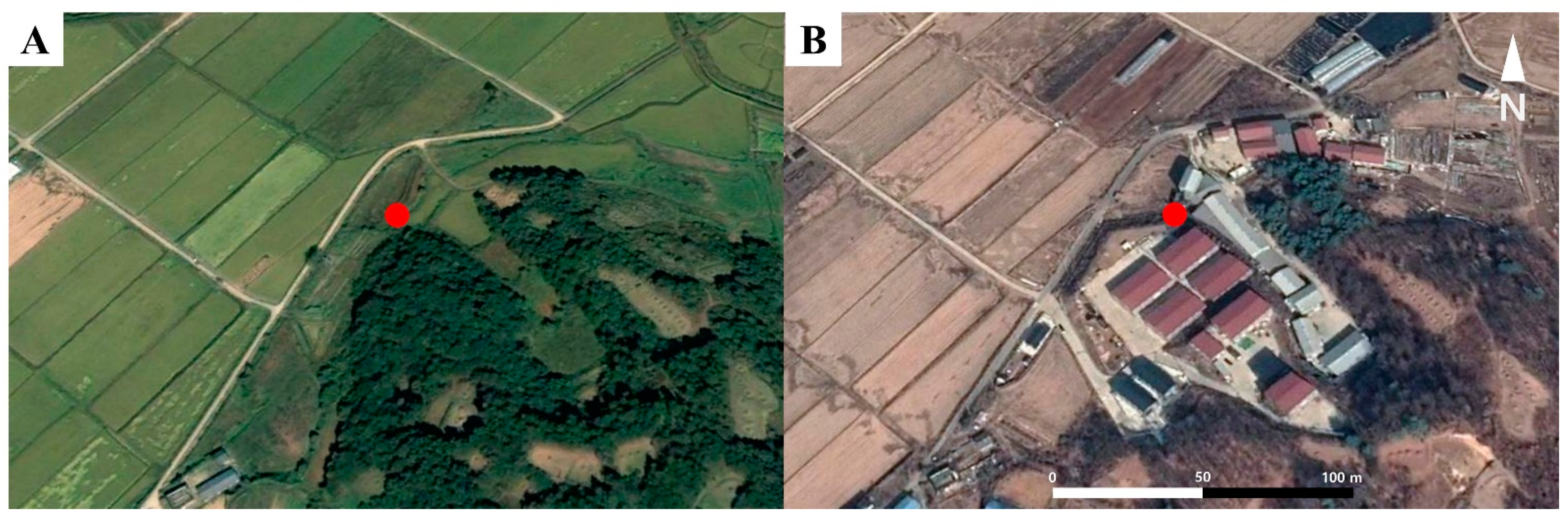 Diversity 14 00316 g003 550