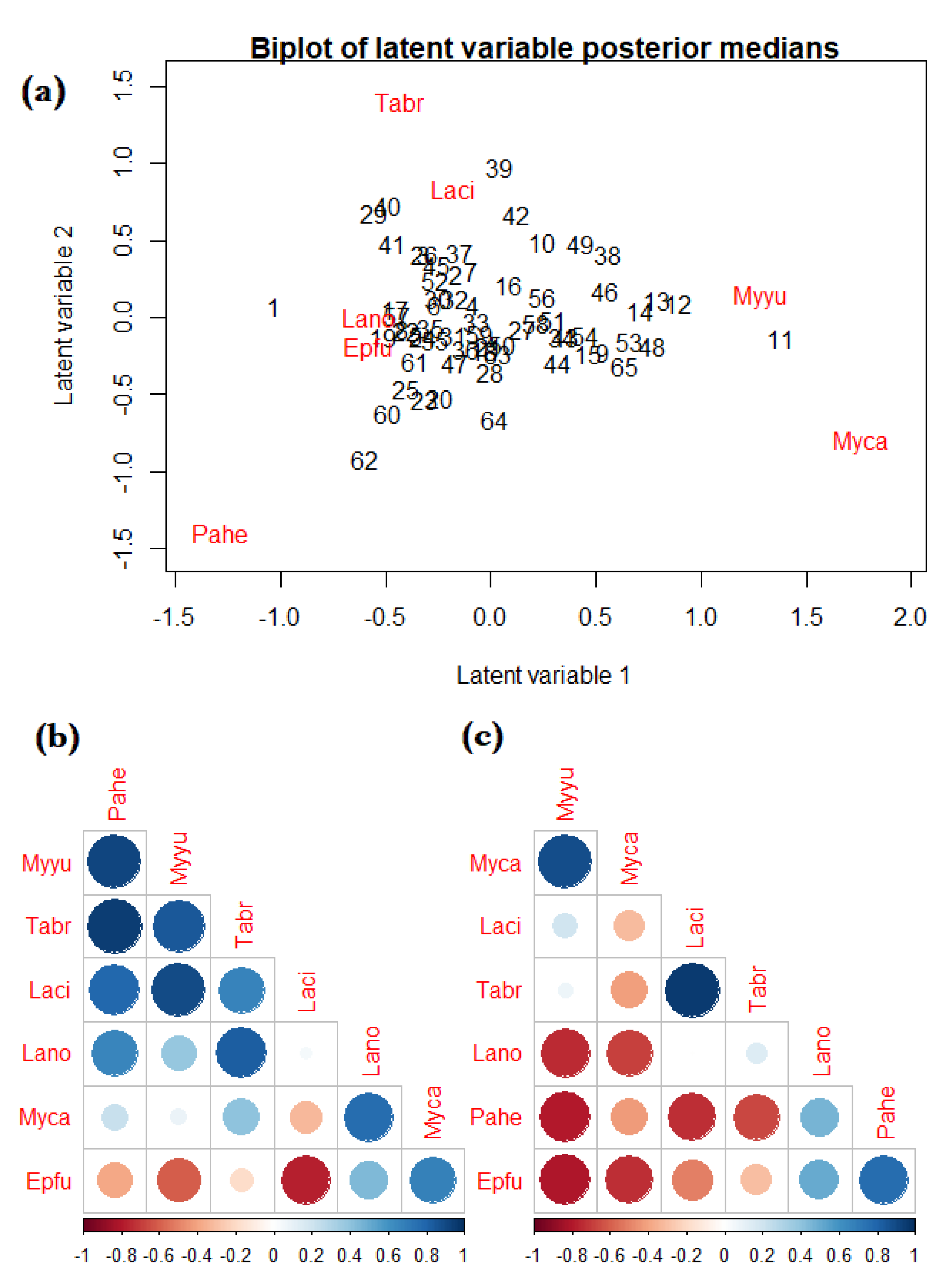 Diversity 14 00320 g004 Diversity 14 00320 g004