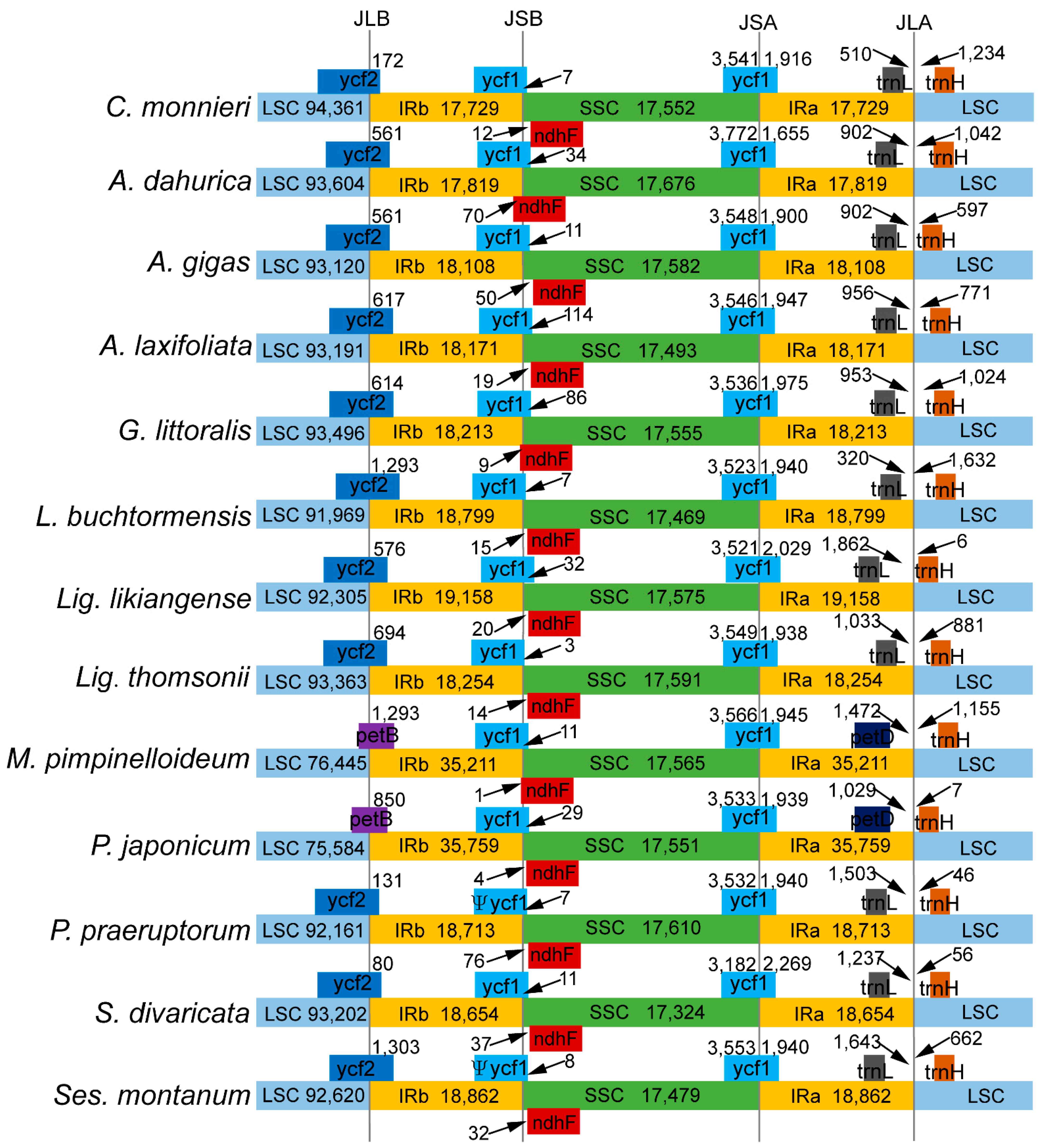 Diversity 14 00323 g004