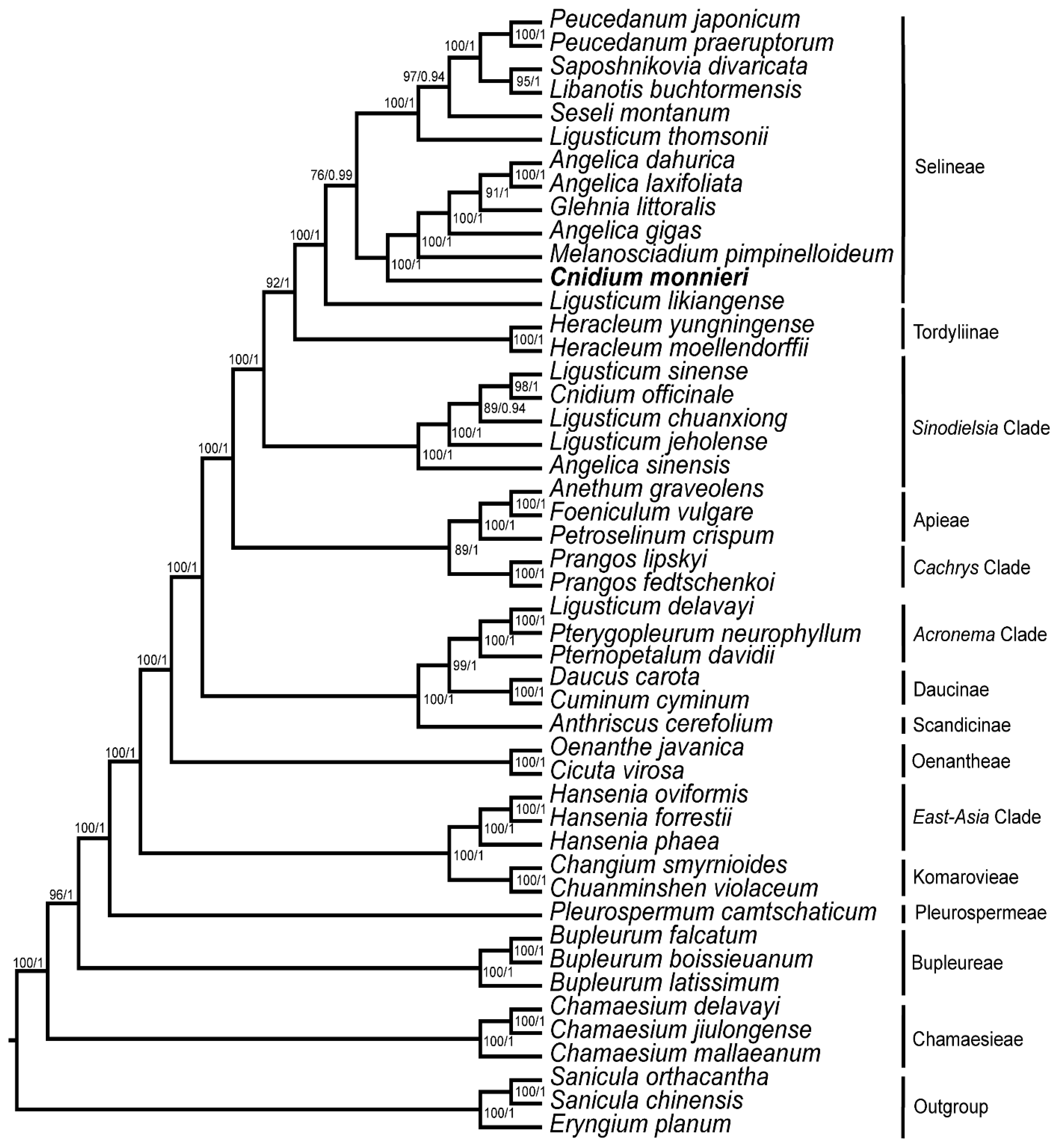 Diversity 14 00323 g007