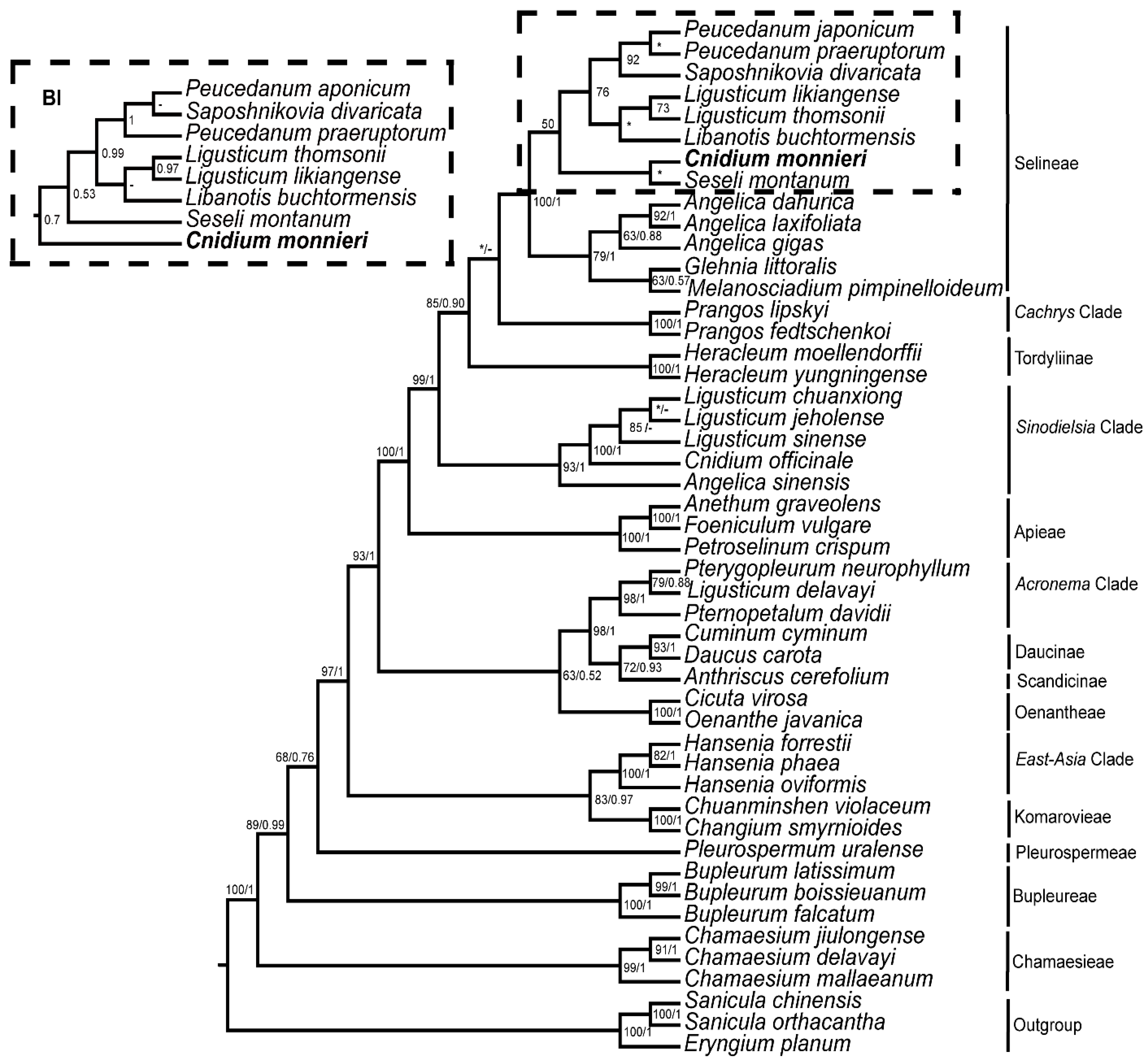 Diversity 14 00323 g008