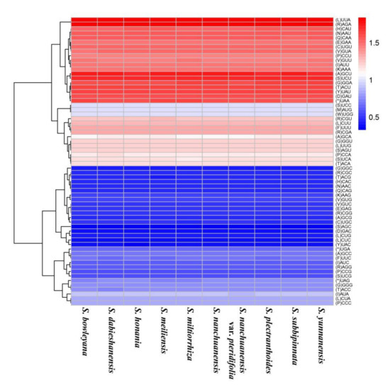 Chloroplast Genome of Salvia Sect. Drymosphace: Comparative and