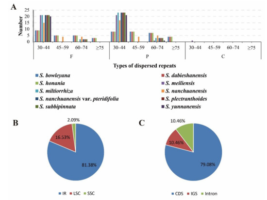 Chloroplast Genome of Salvia Sect. Drymosphace: Comparative and