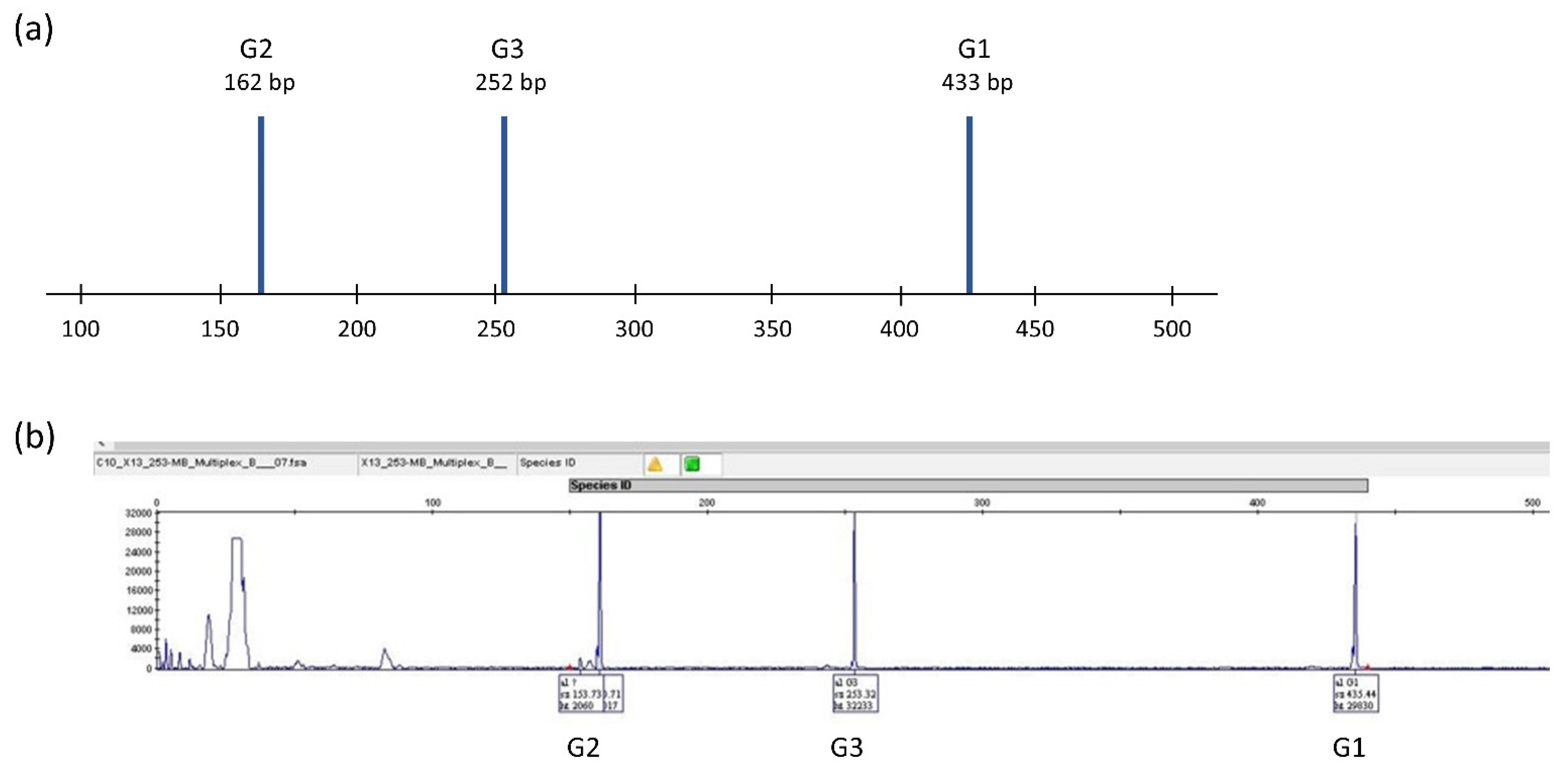 Diversity 14 00342 g001