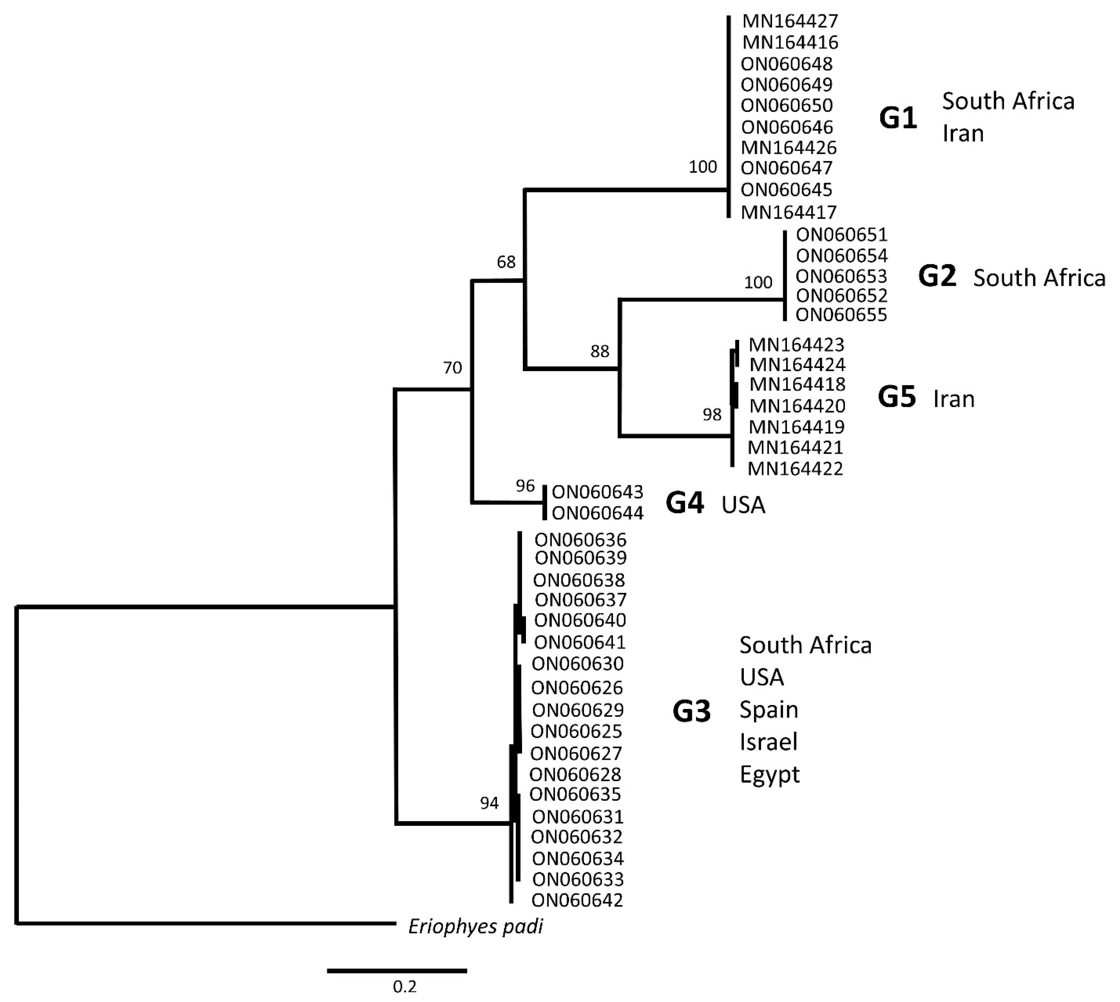 Diversity 14 00342 g002