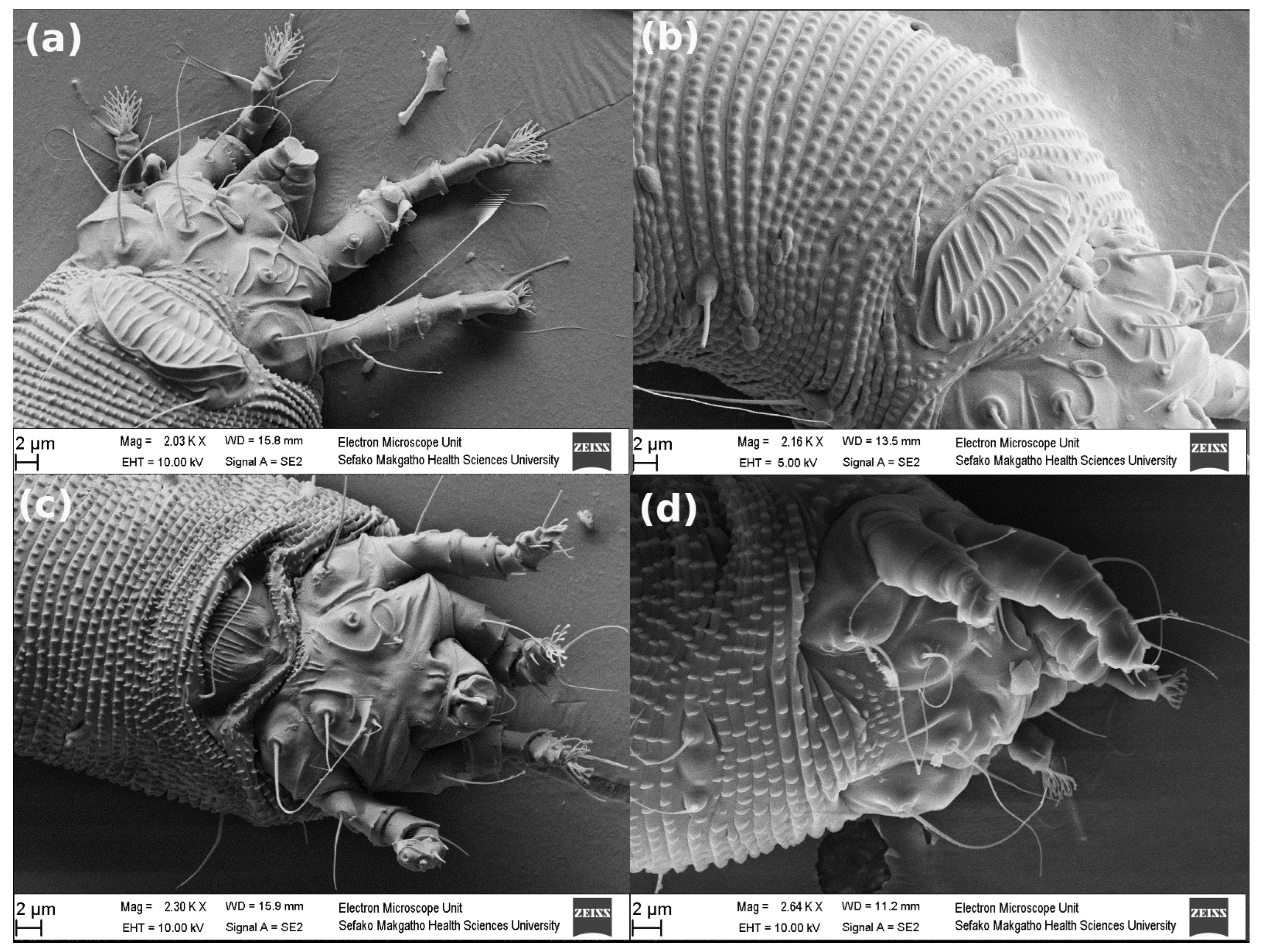 Diversity 14 00342 g007