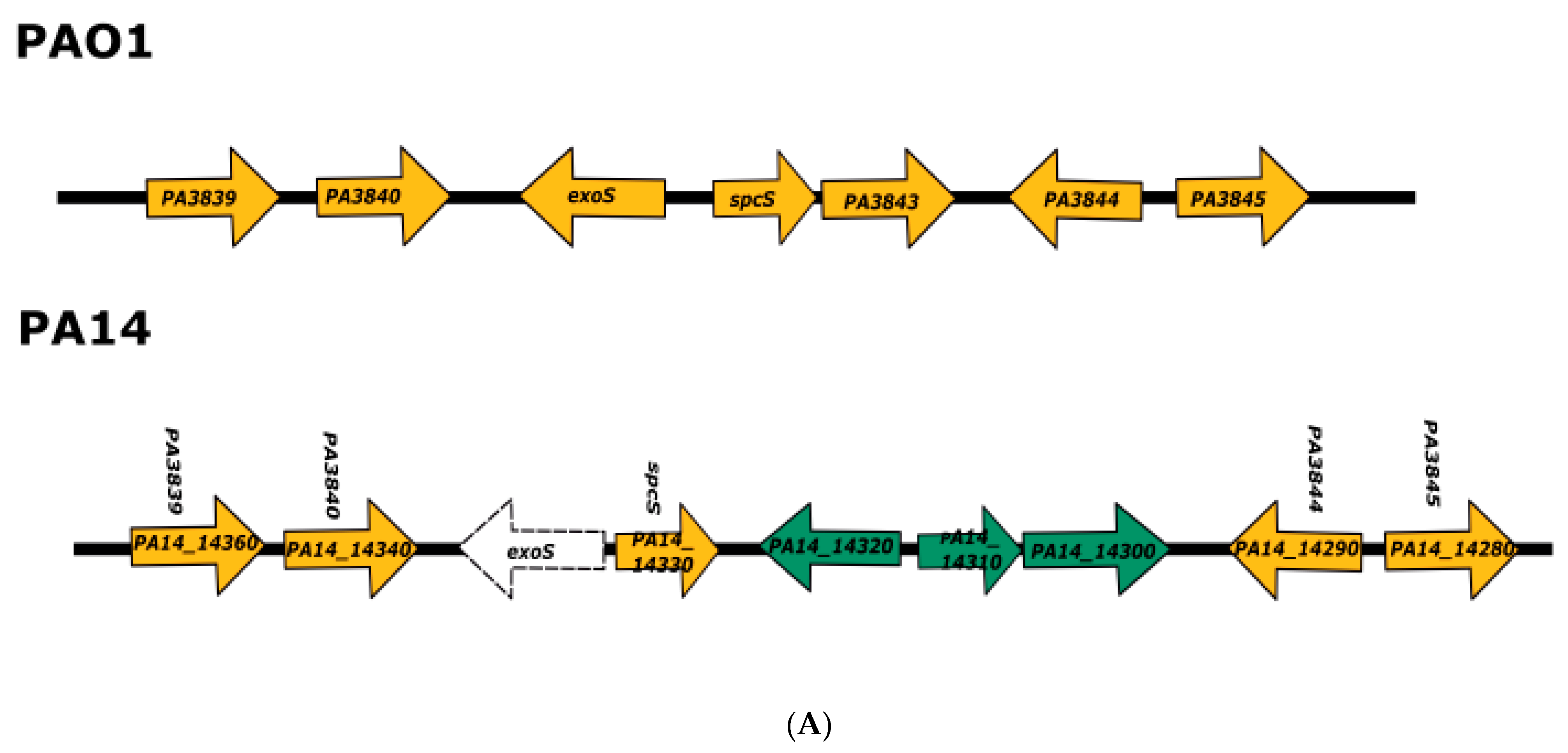 Diversity 14 00345 g001a