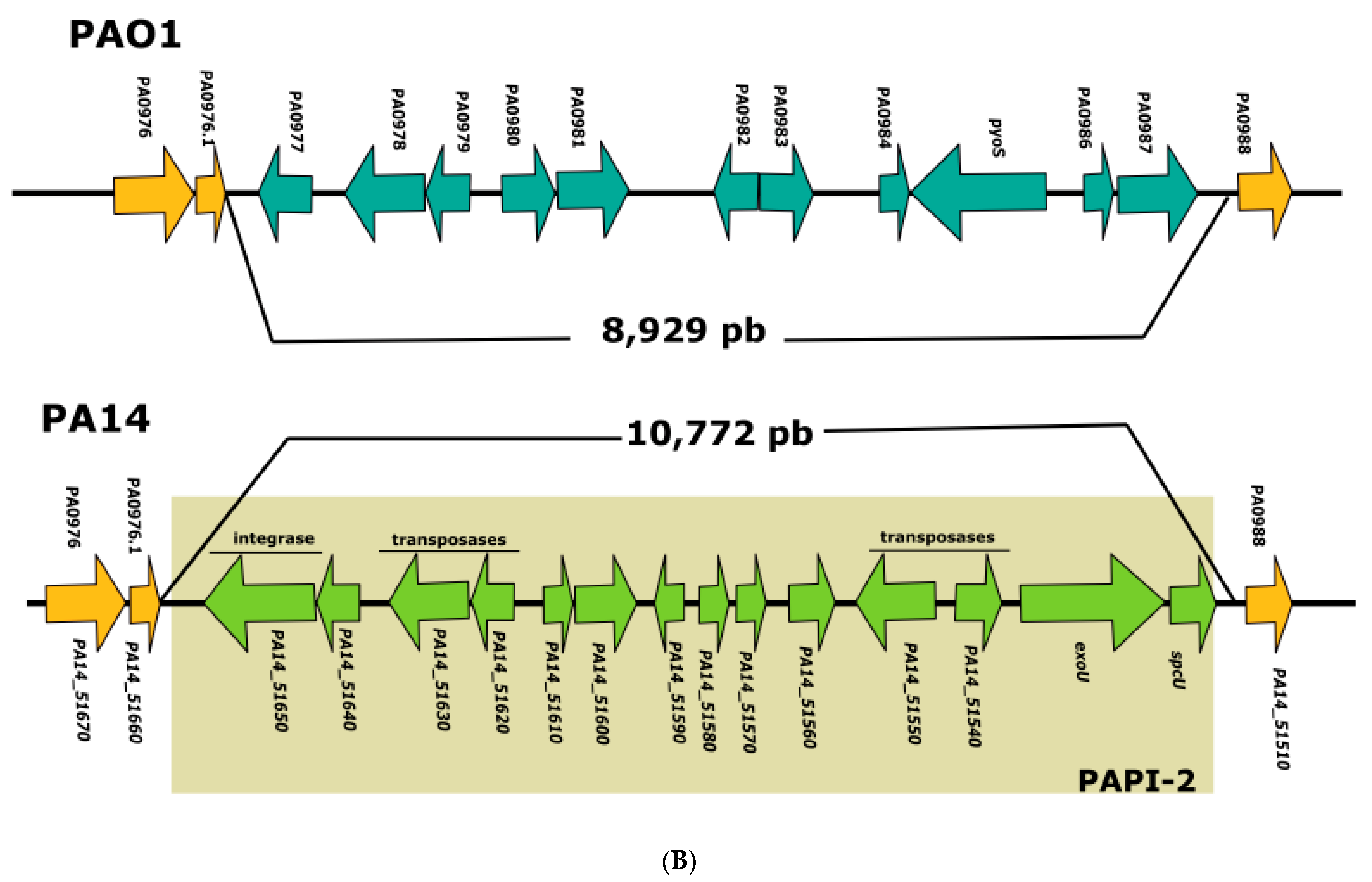 Diversity 14 00345 g001b