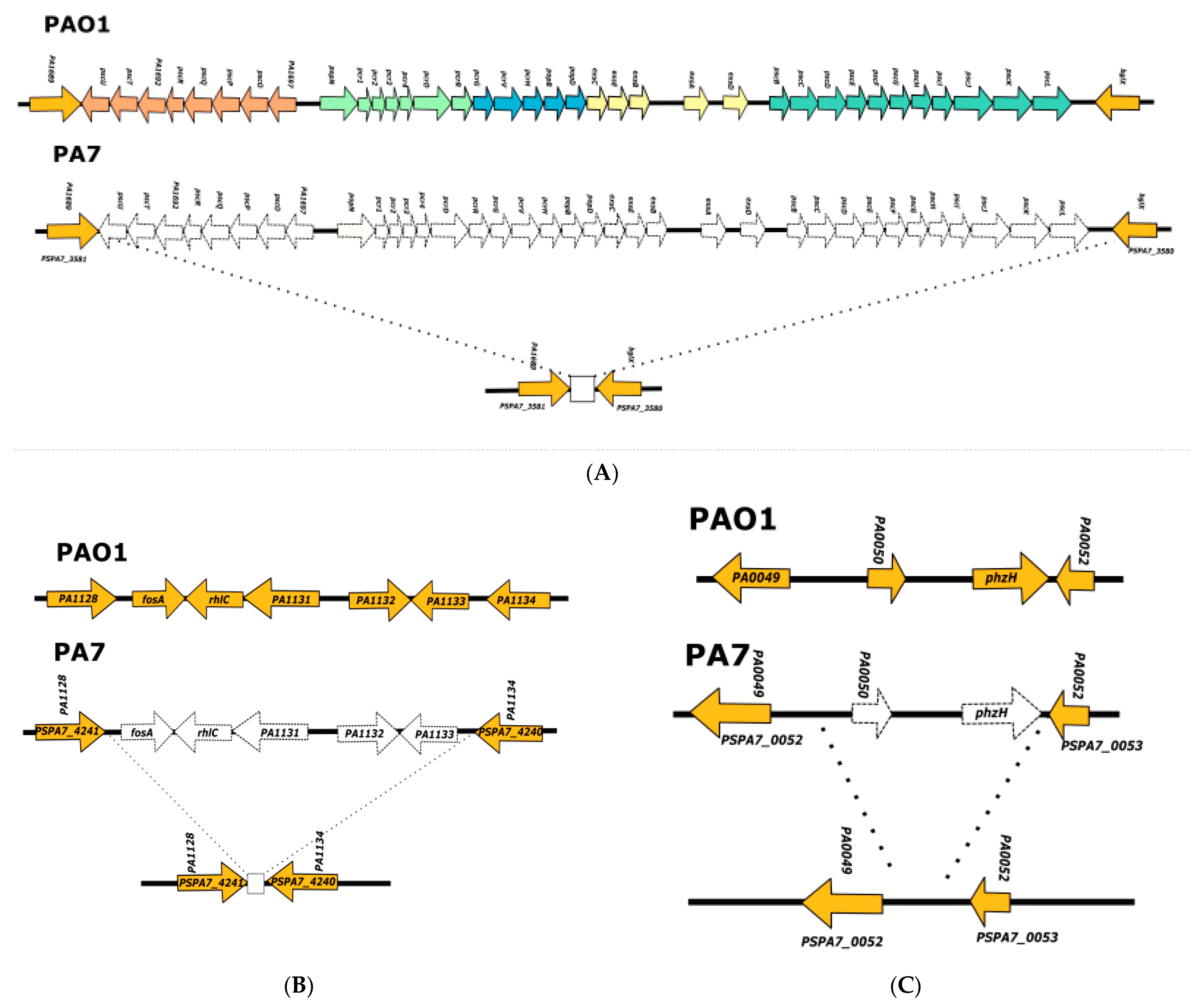 Diversity 14 00345 g002