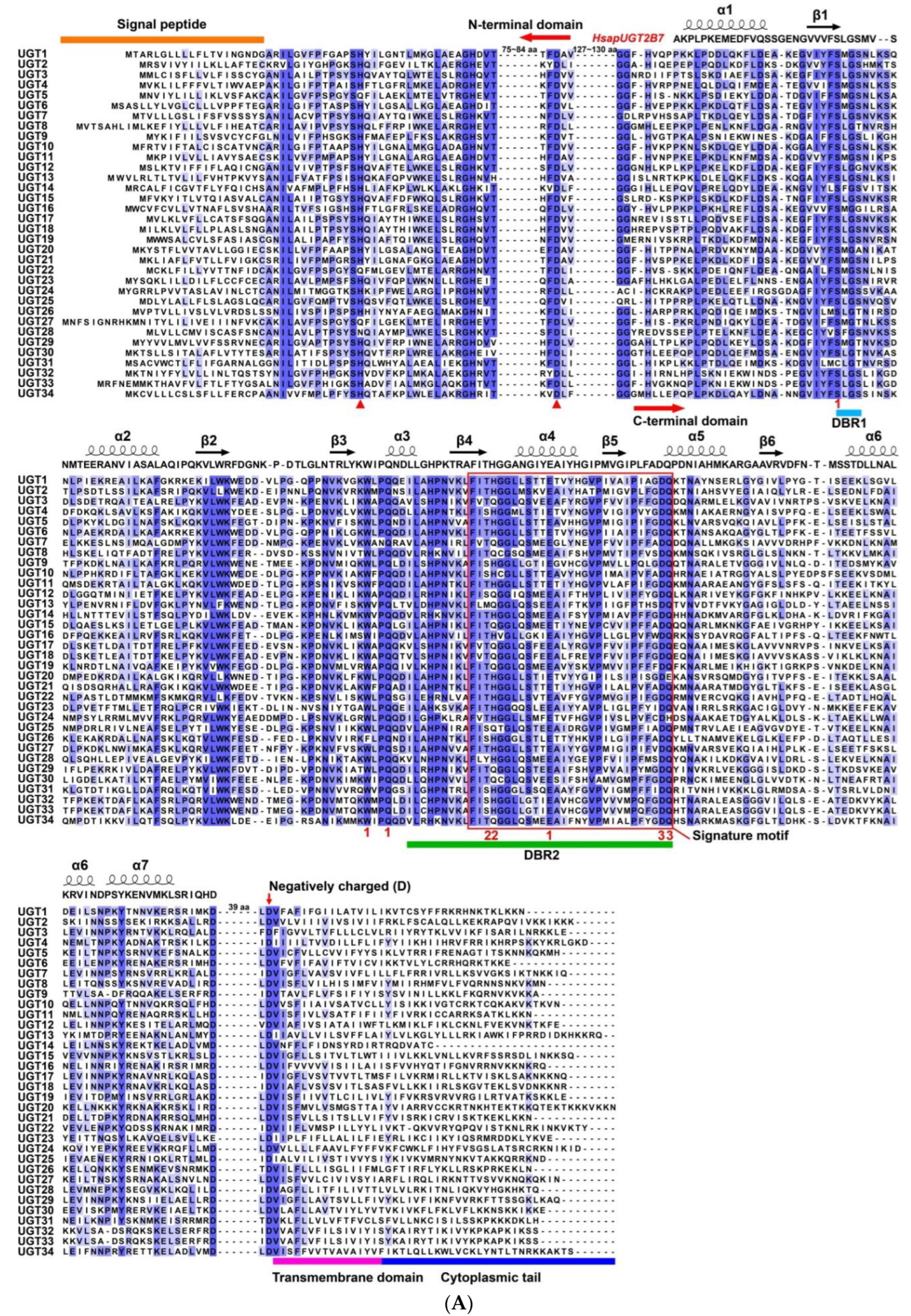 Diversity 14 00348 g001a