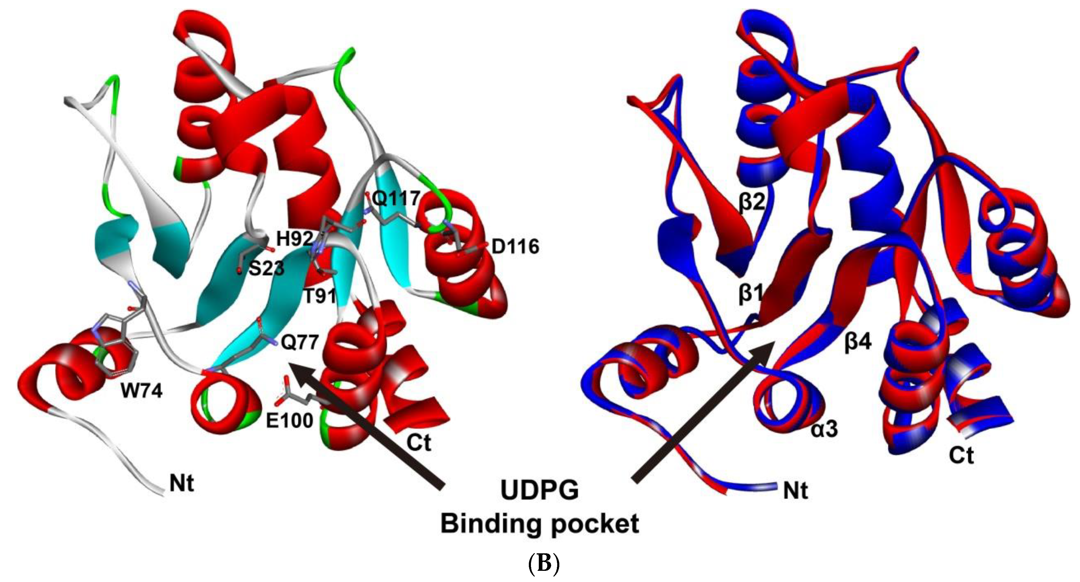 Diversity 14 00348 g001b