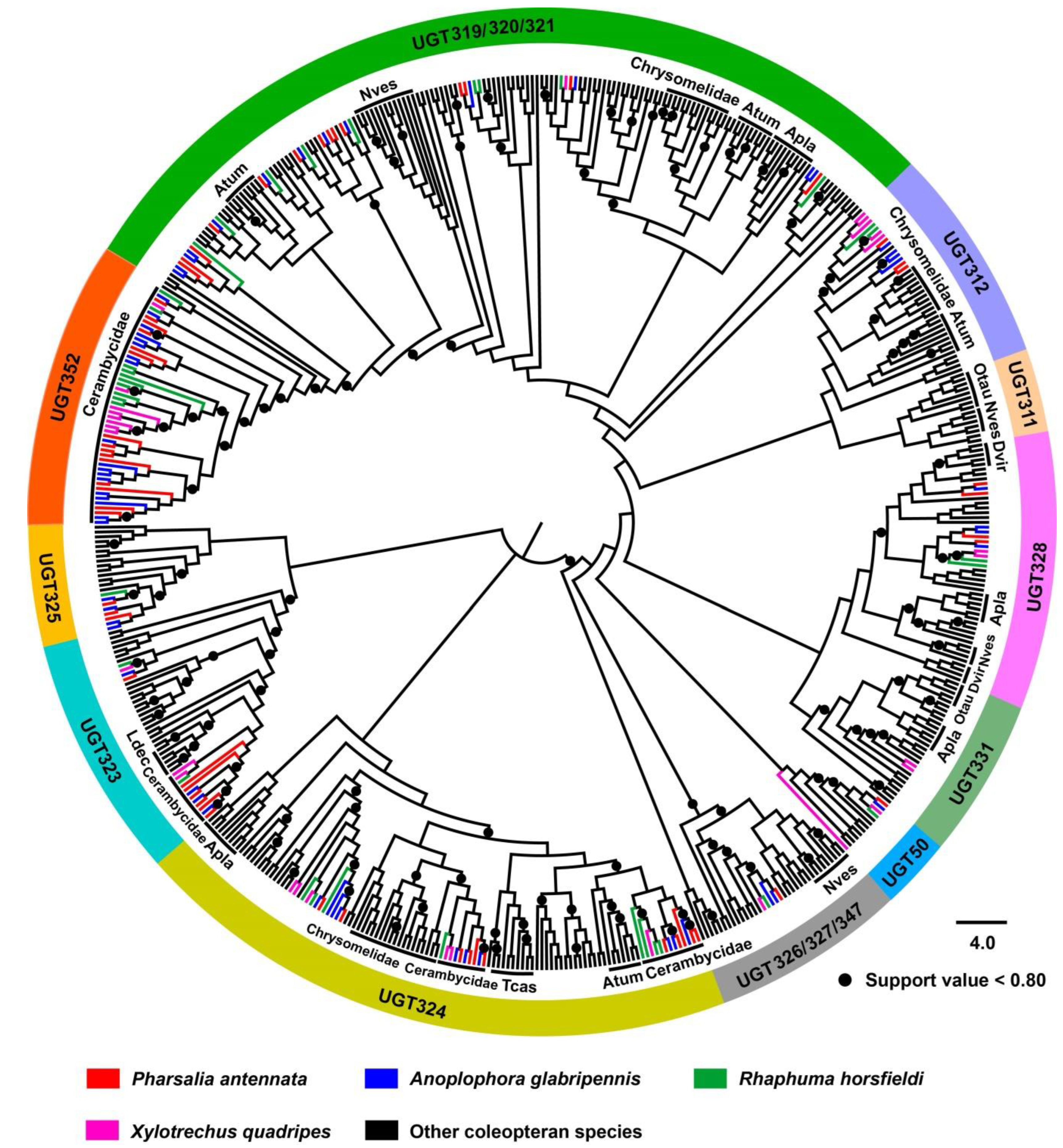 Diversity 14 00348 g002