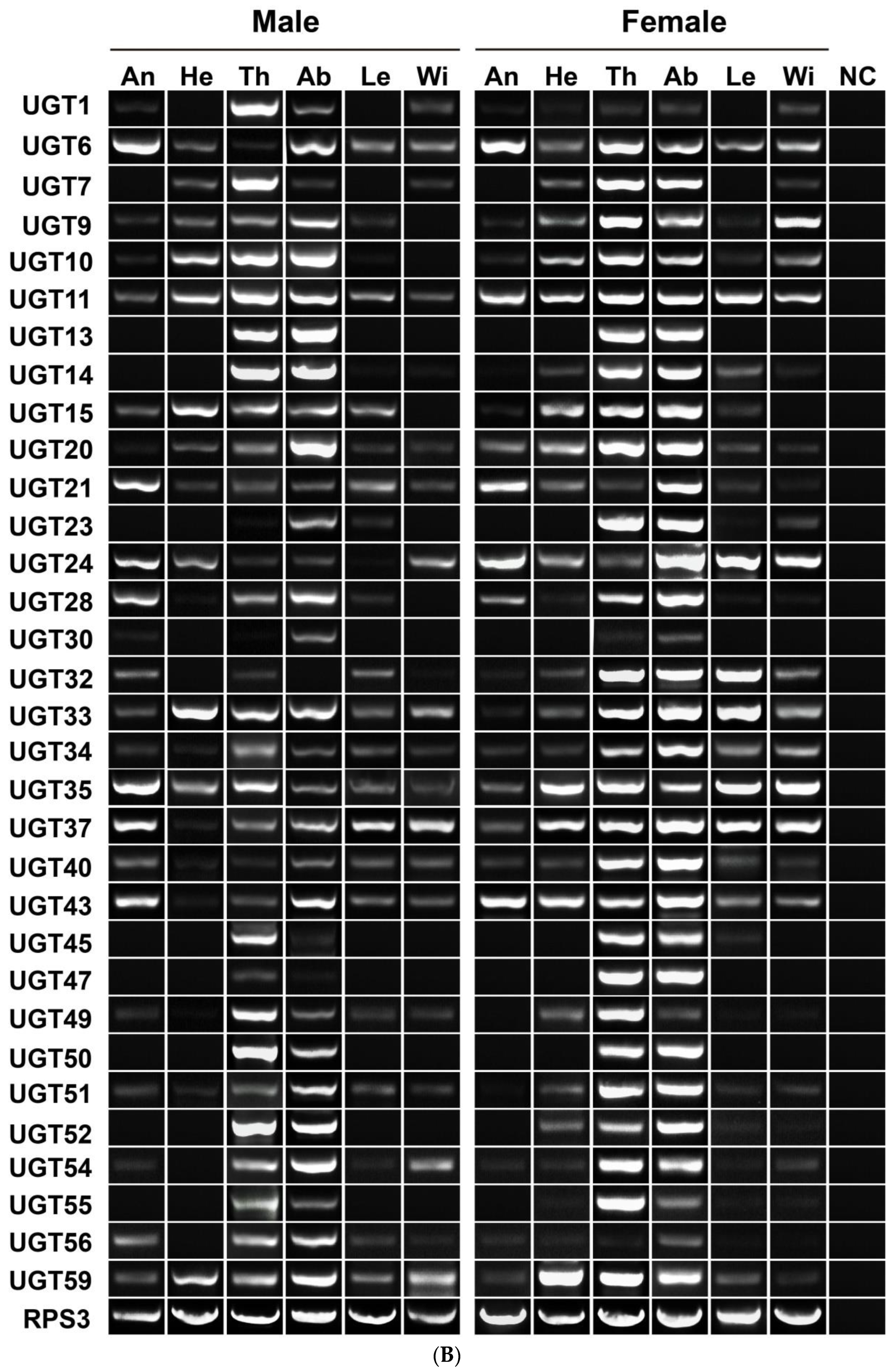 Diversity 14 00348 g003b
