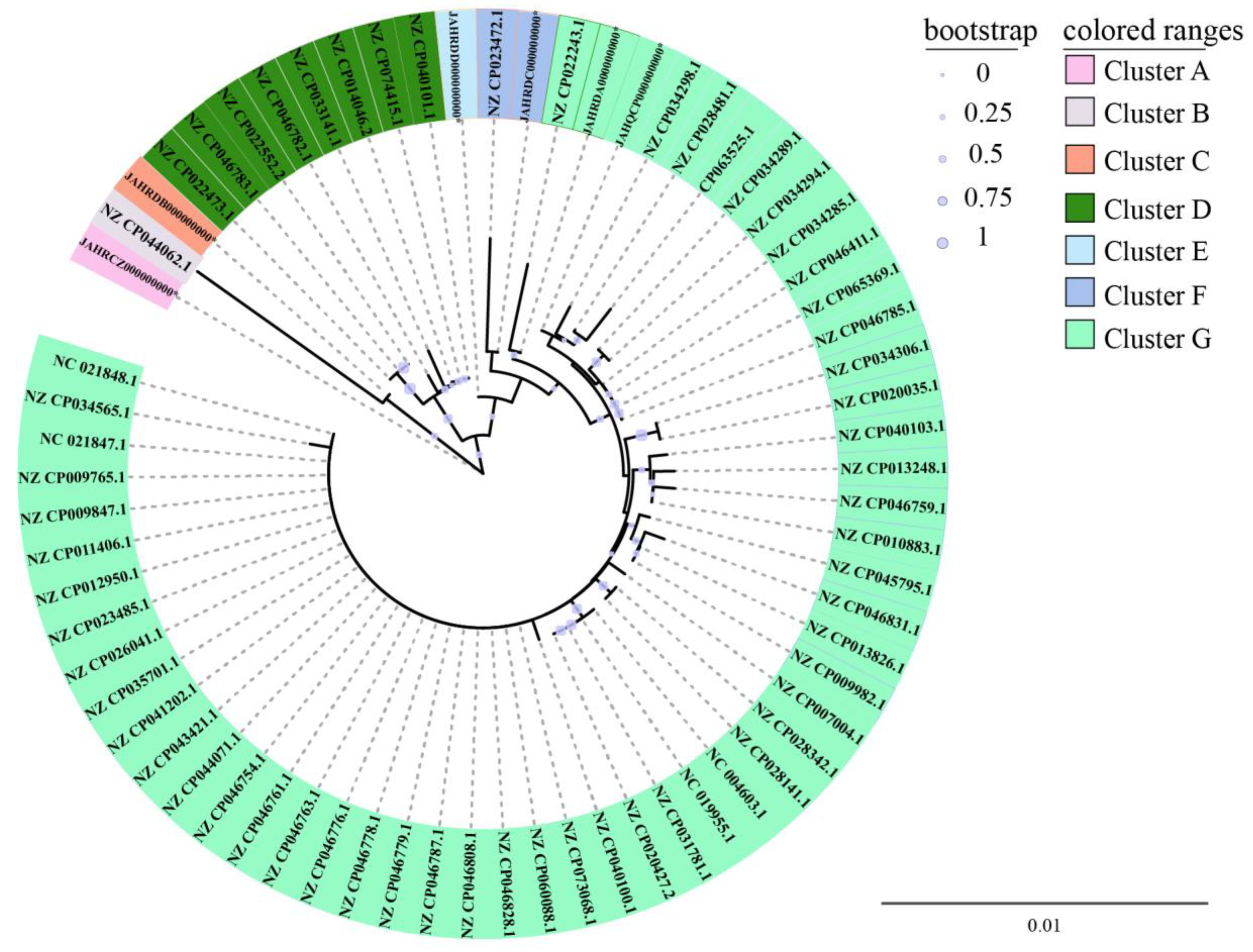 Diversity 14 00350 g004