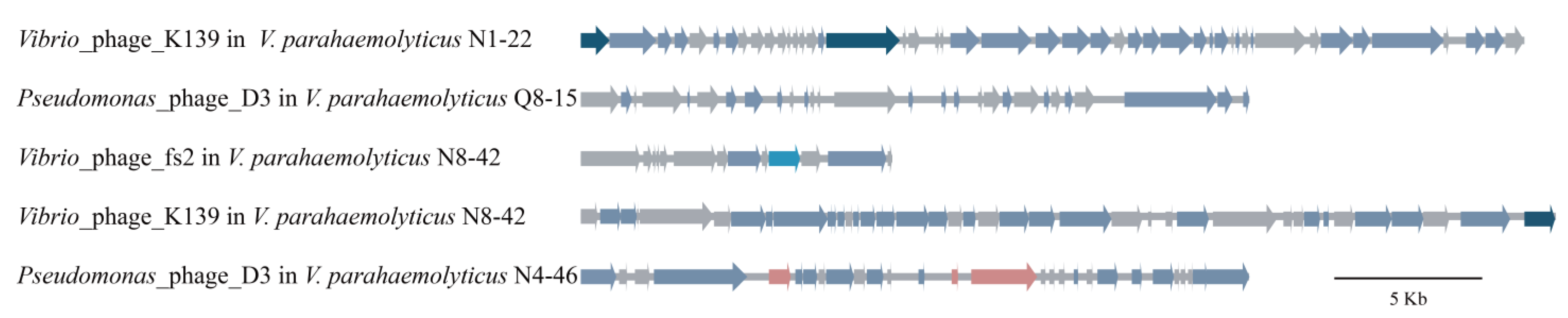 Diversity 14 00350 g006