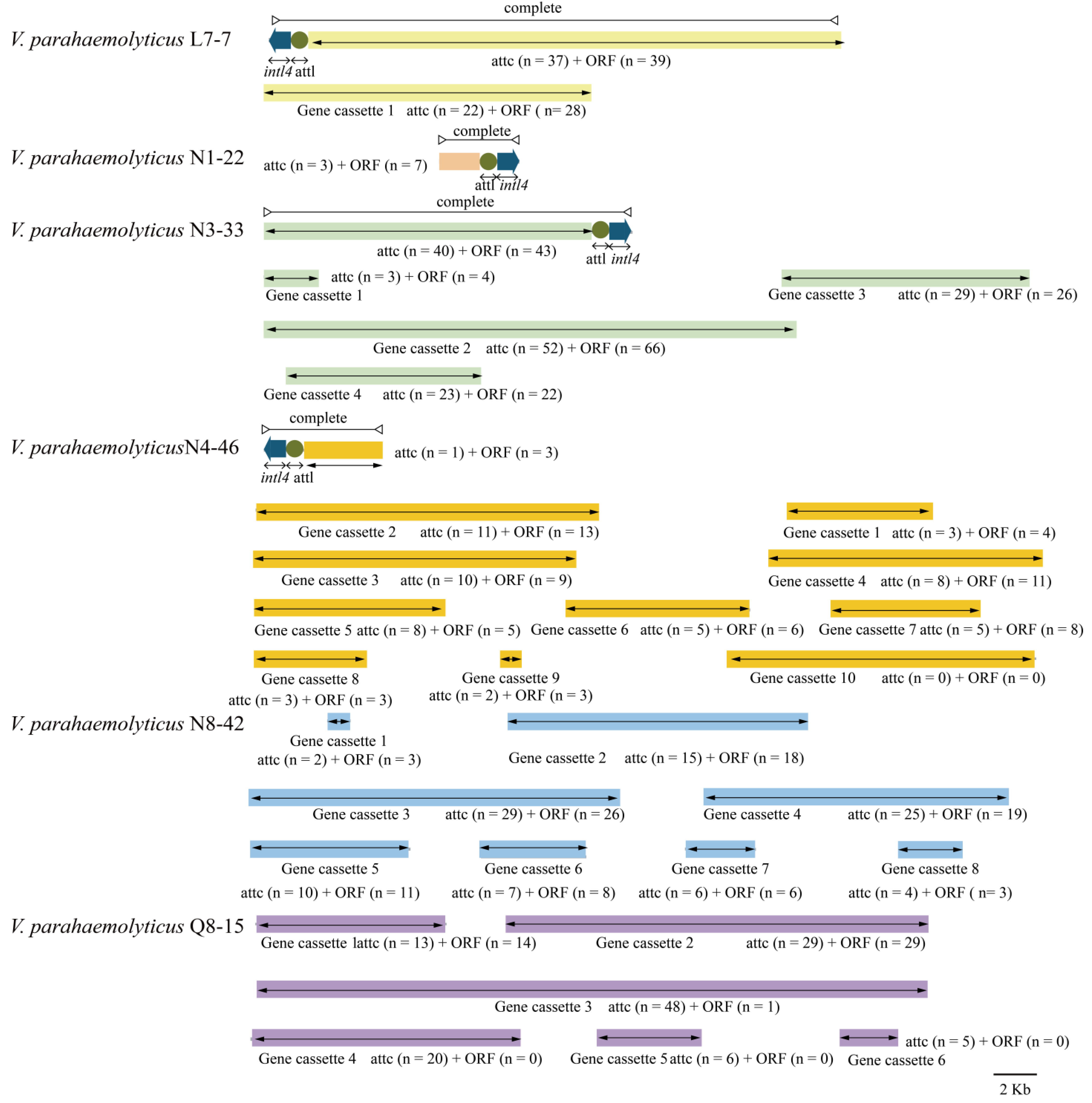Diversity 14 00350 g007