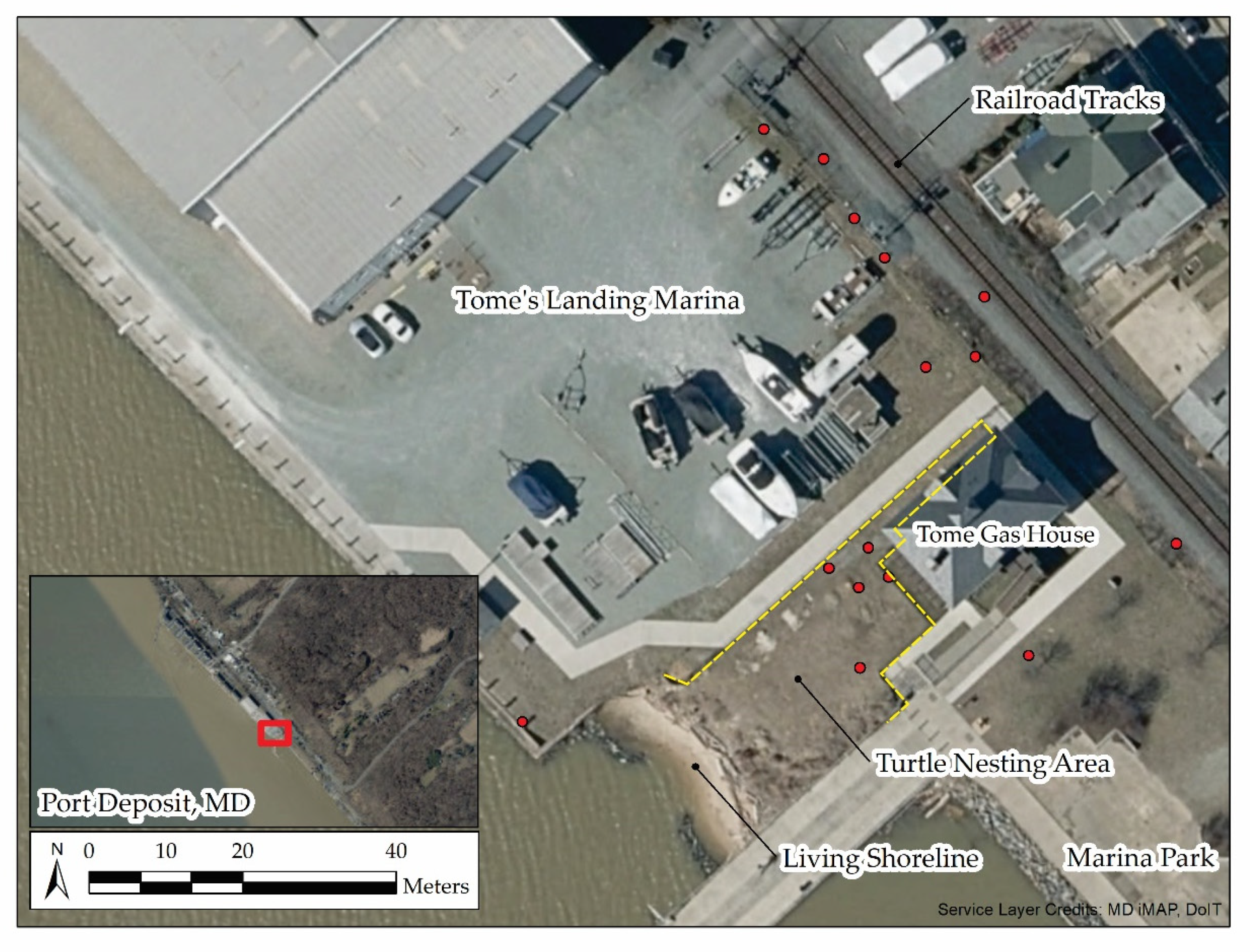 Diversity 14 00354 g002 550