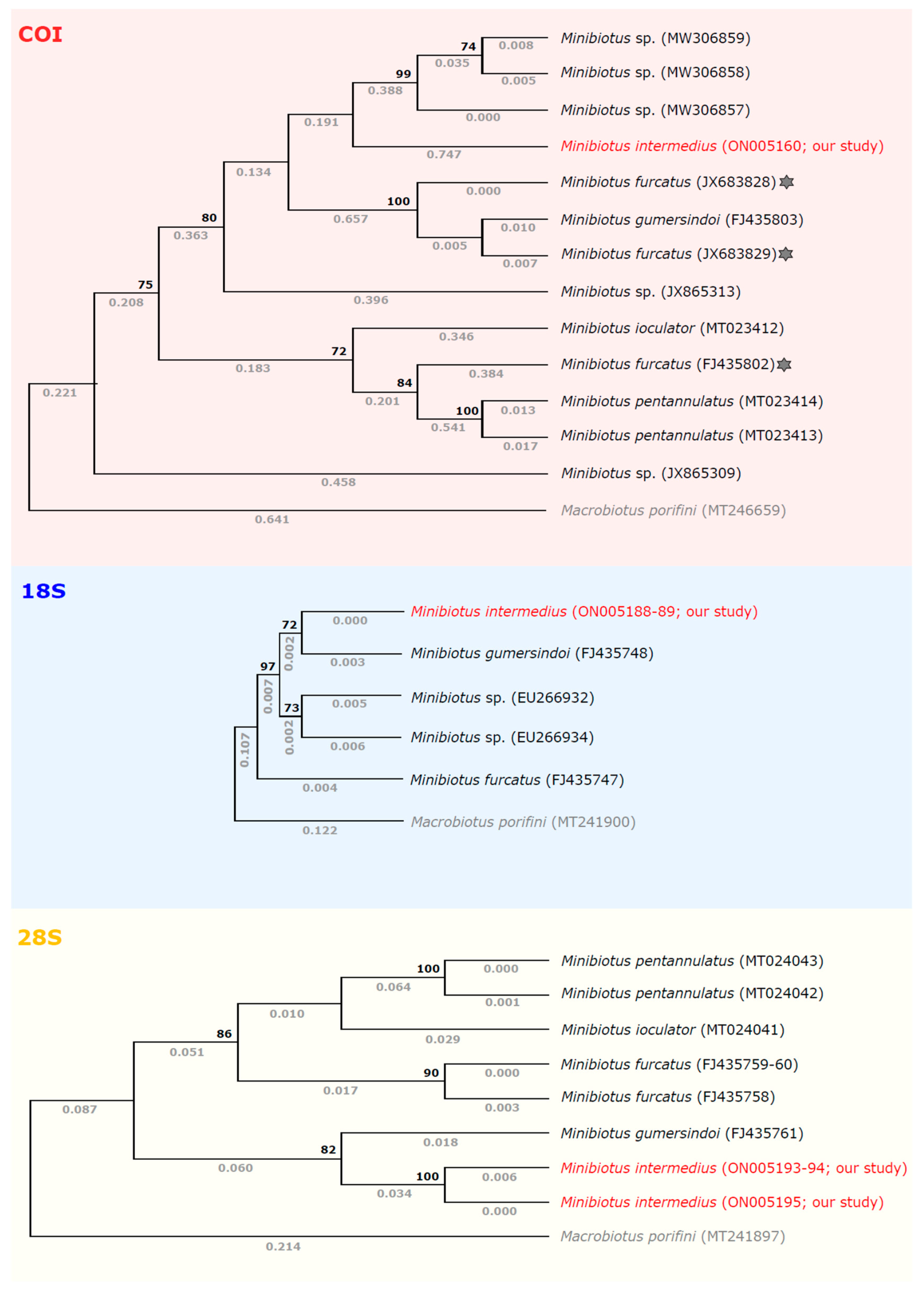 Diversity 14 00356 g006 550