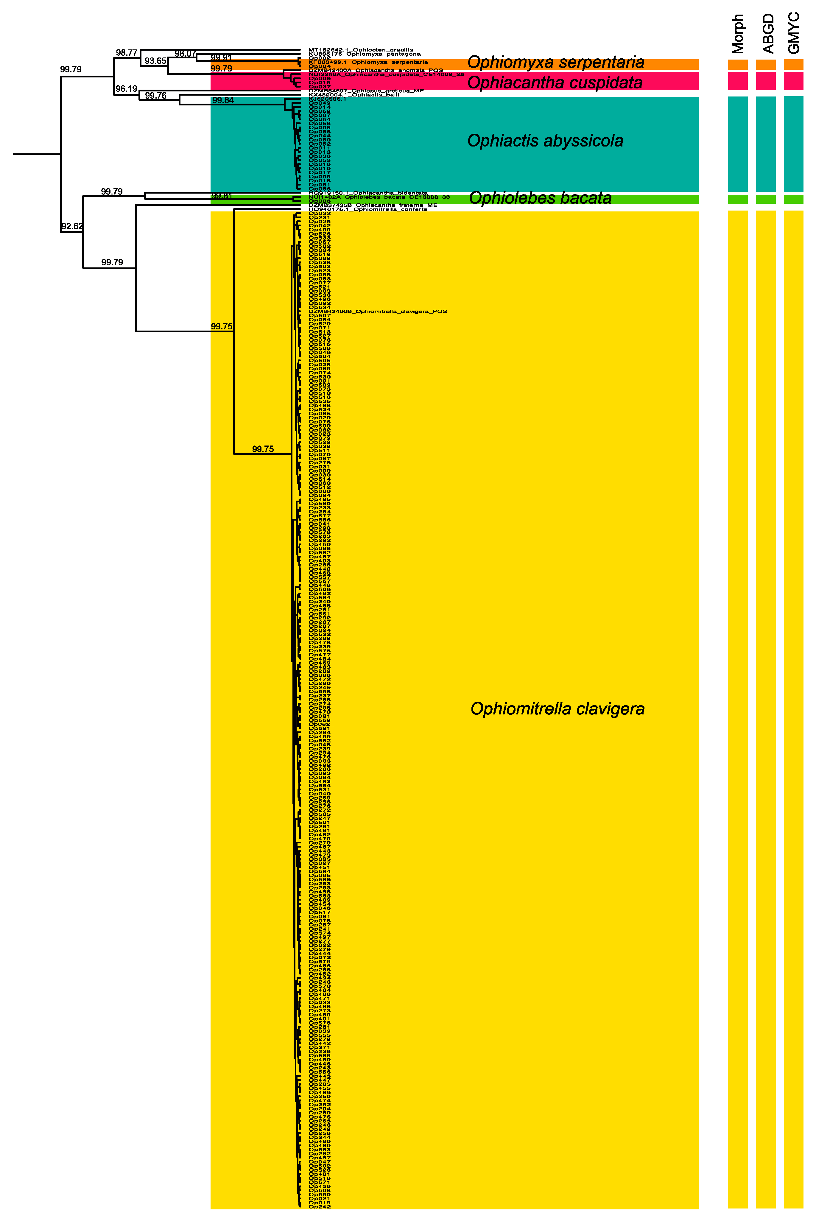 Diversity 14 00358 g003 Diversity 14 00358 g003