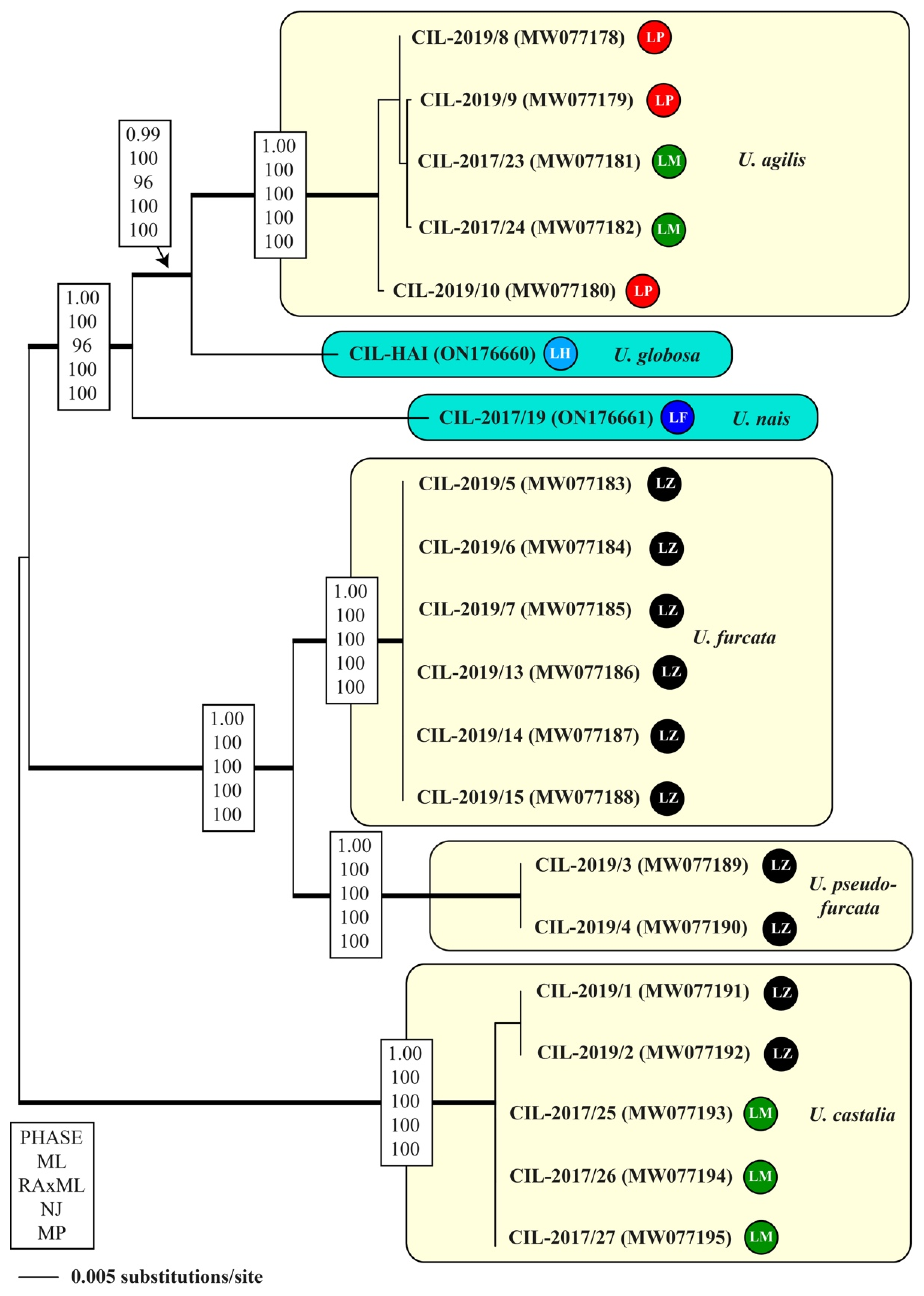 Diversity 14 00362 g003 Diversity 14 00362 g003