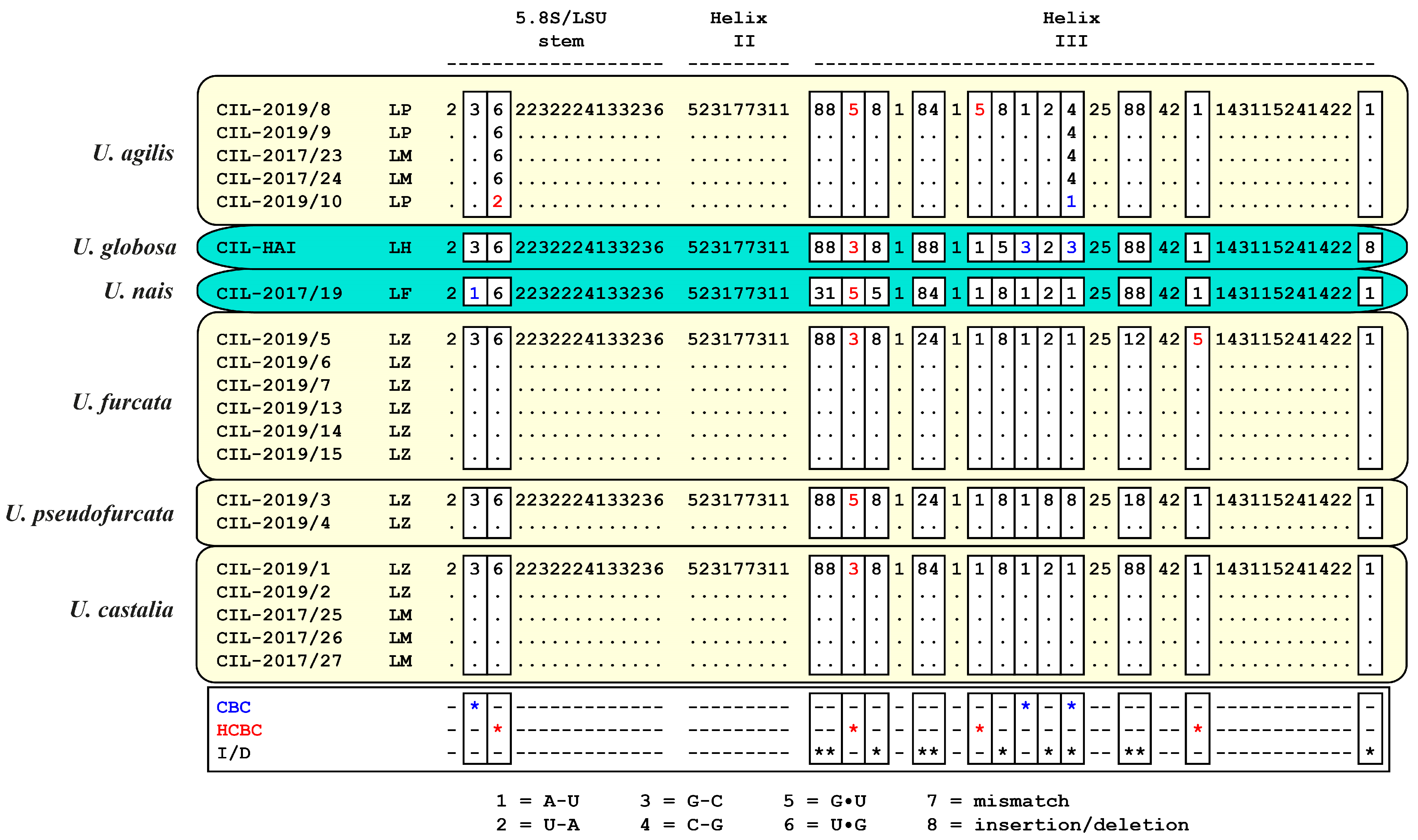 Diversity 14 00362 g007 Diversity 14 00362 g007