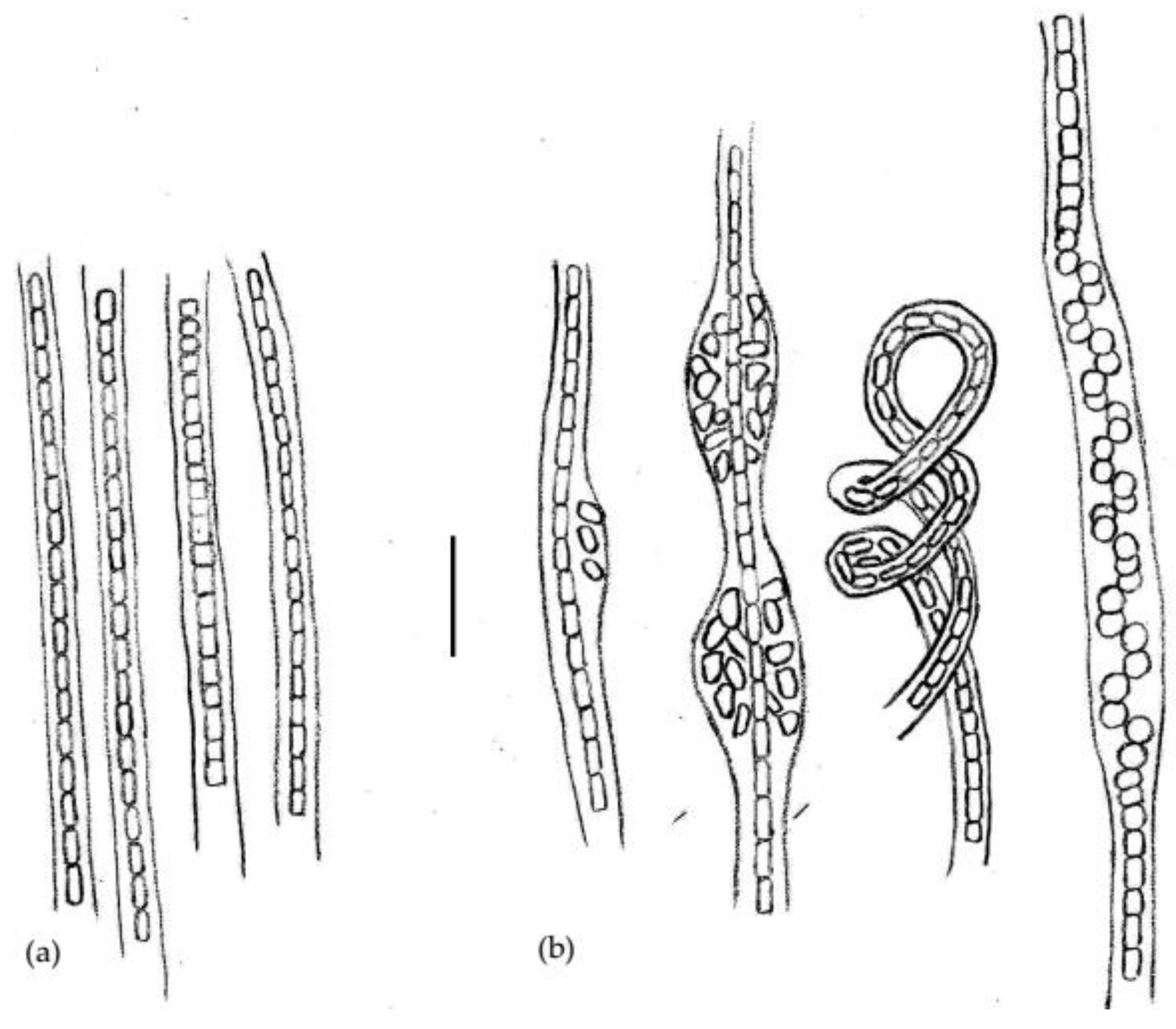 Diversity 14 00364 g002 550