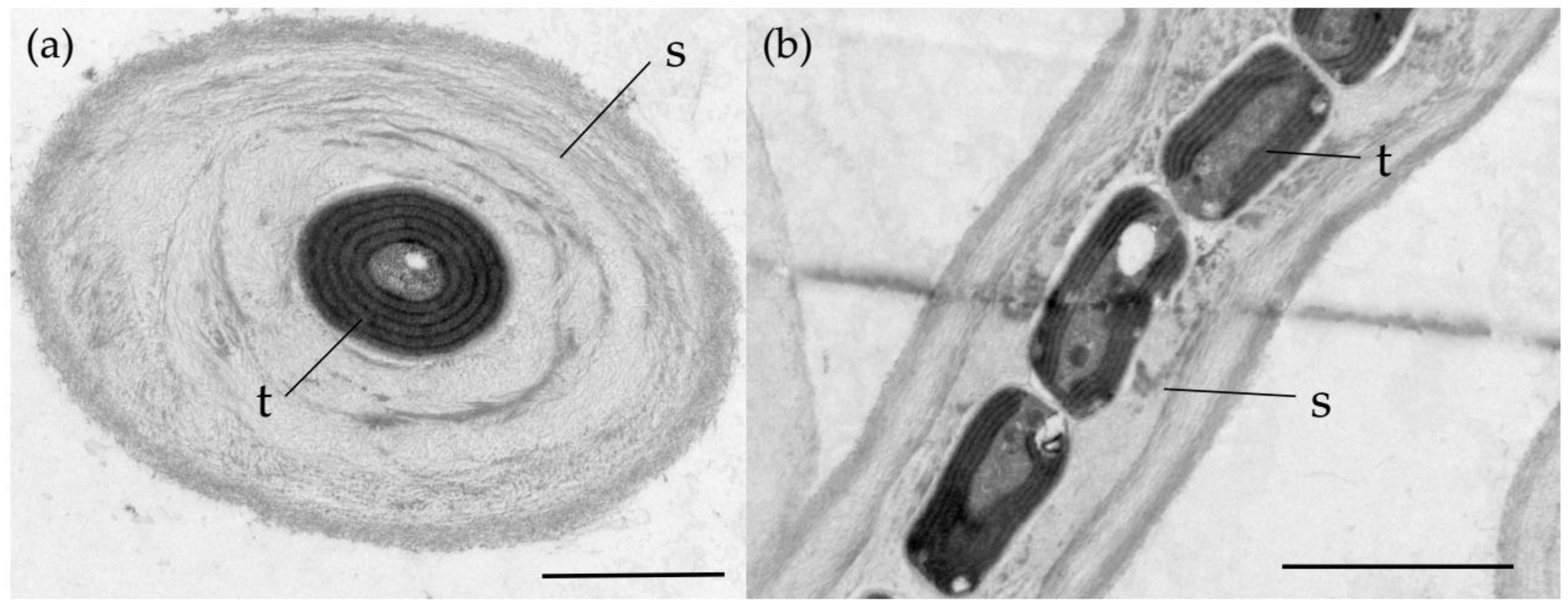 Diversity 14 00364 g003 550