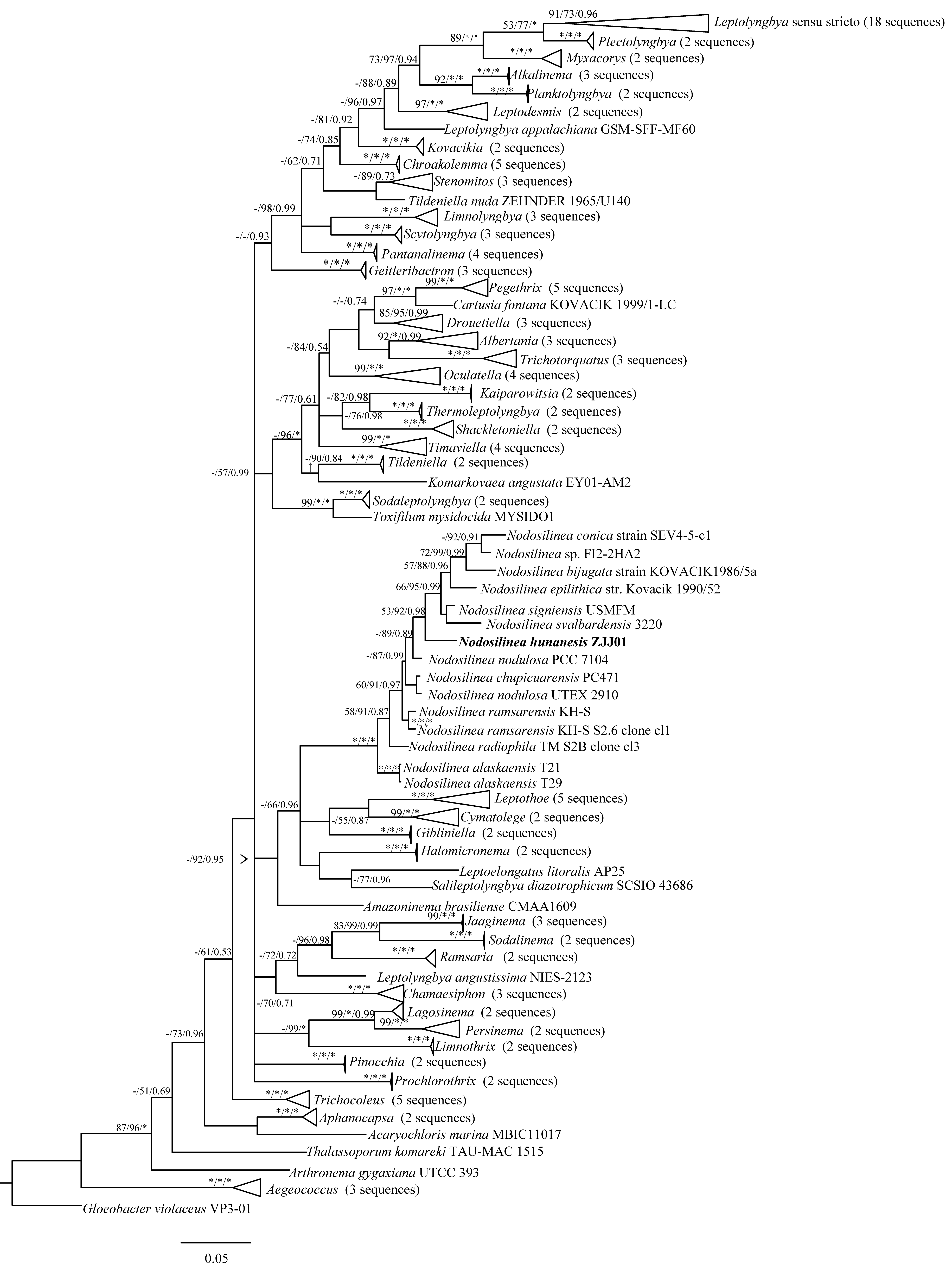 Diversity 14 00364 g004 550