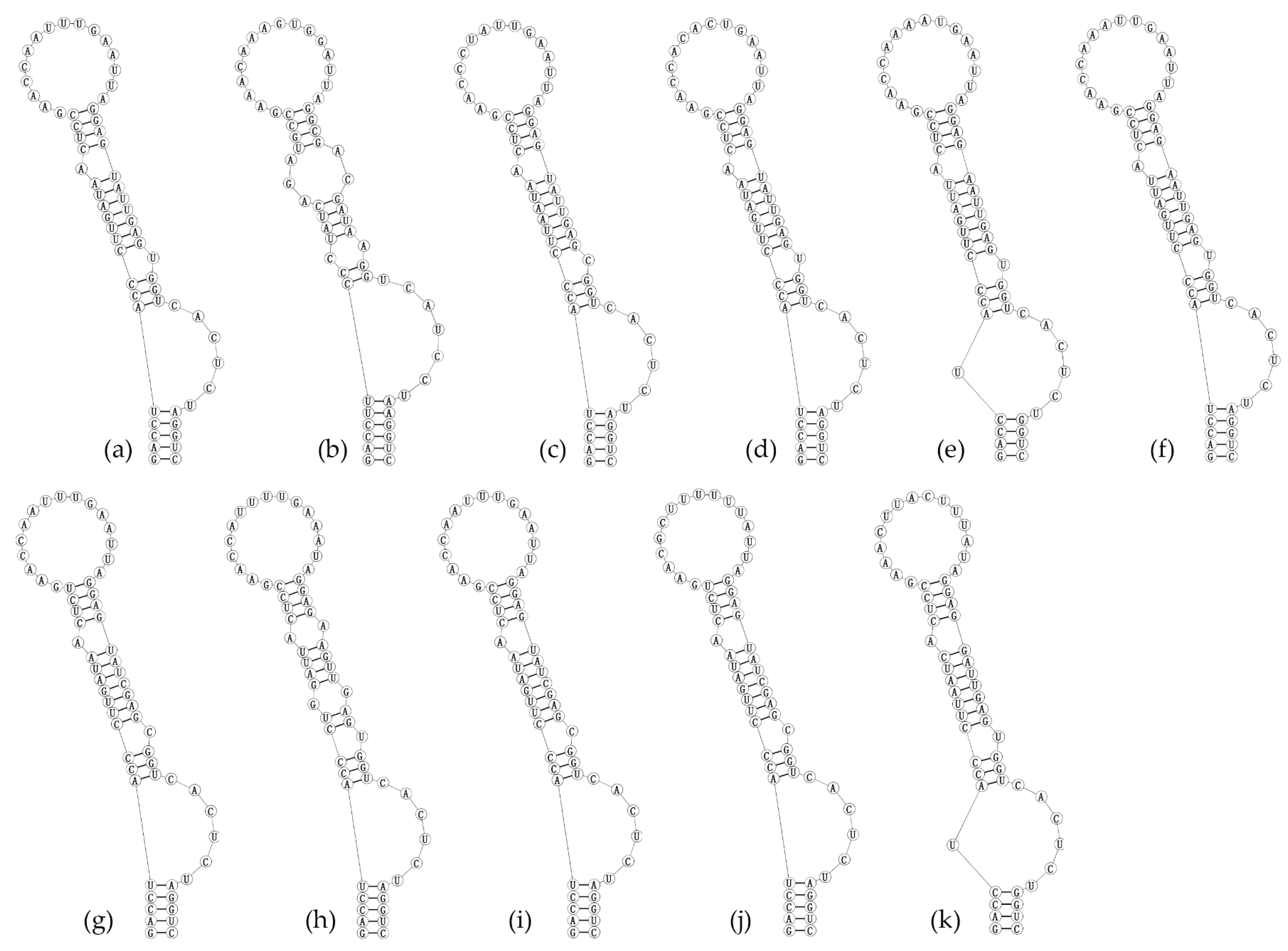 Diversity 14 00364 g005 550