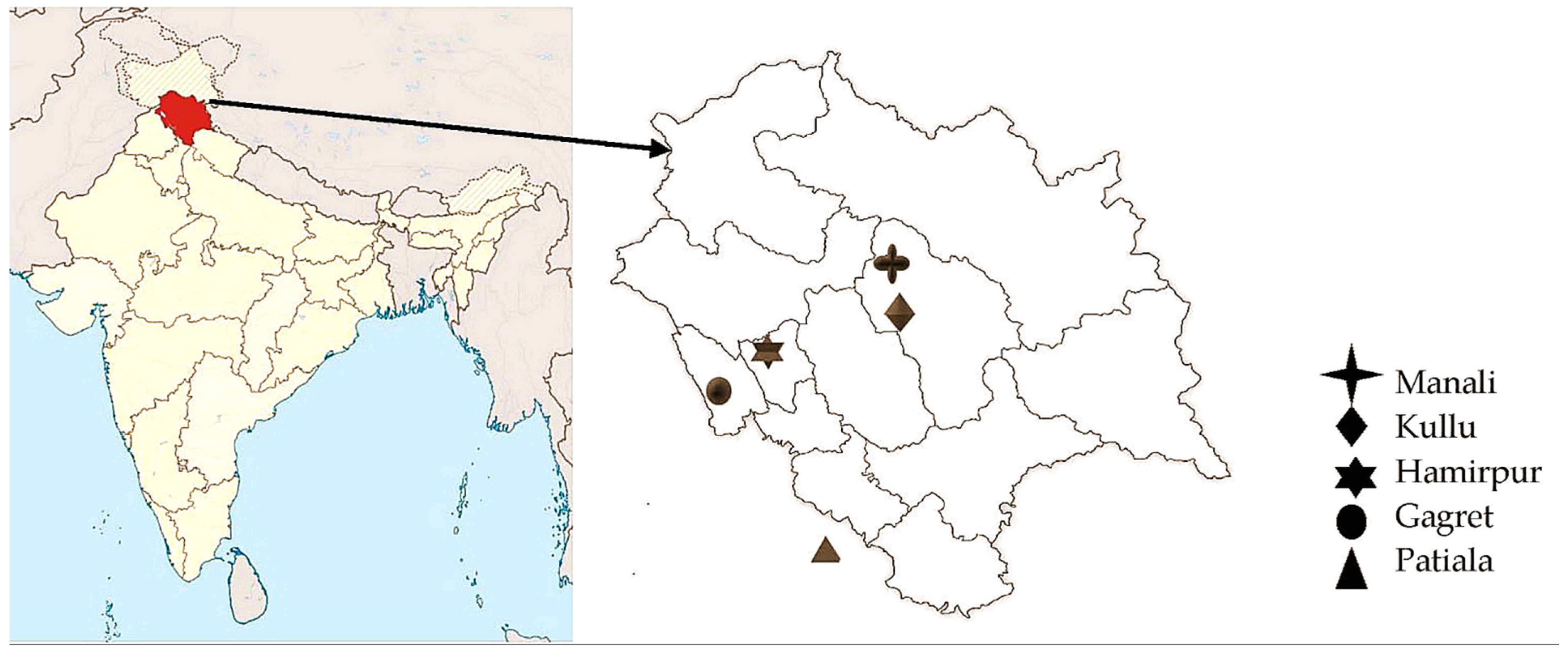 Diversity 14 00369 g002