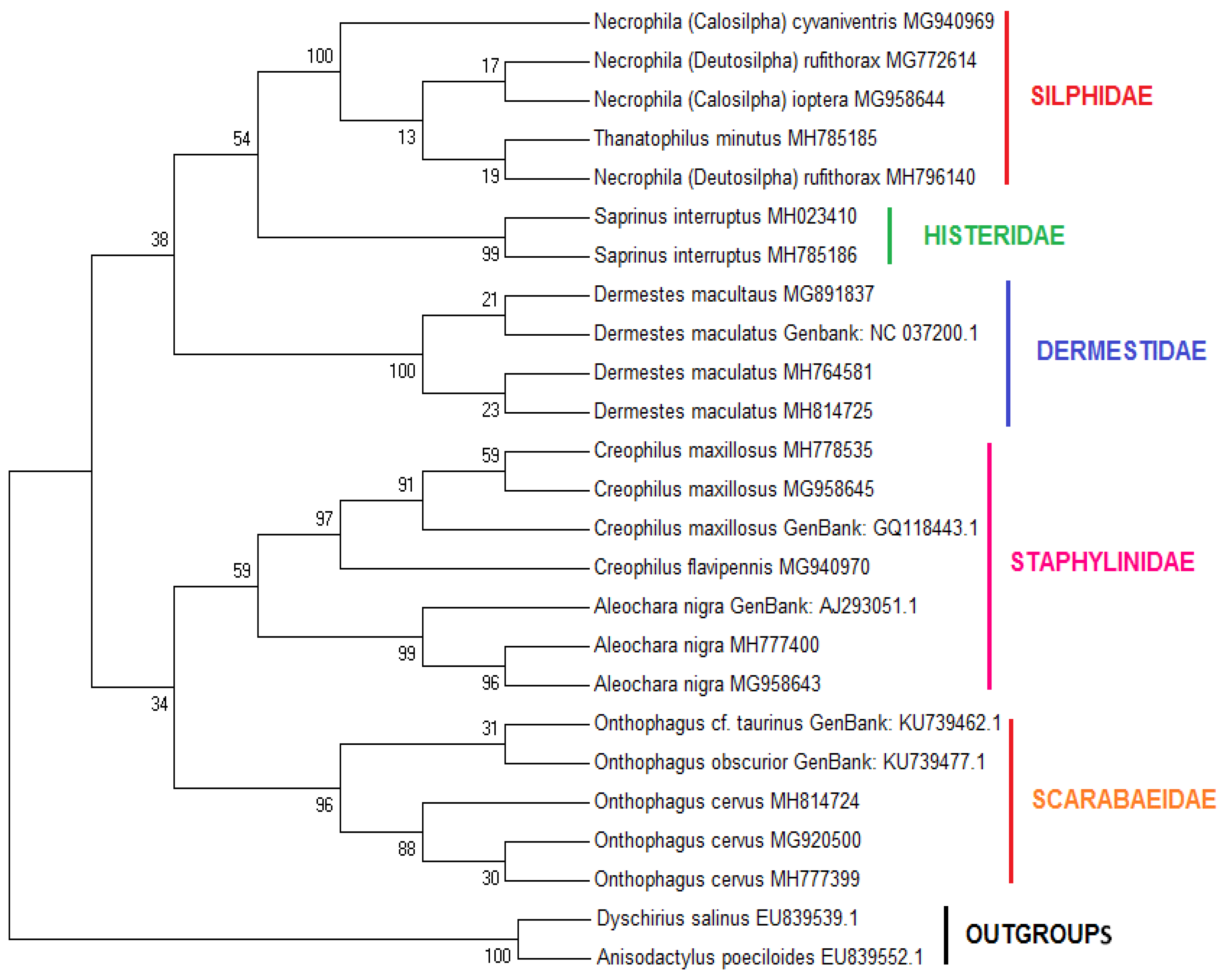 Diversity 14 00369 g003