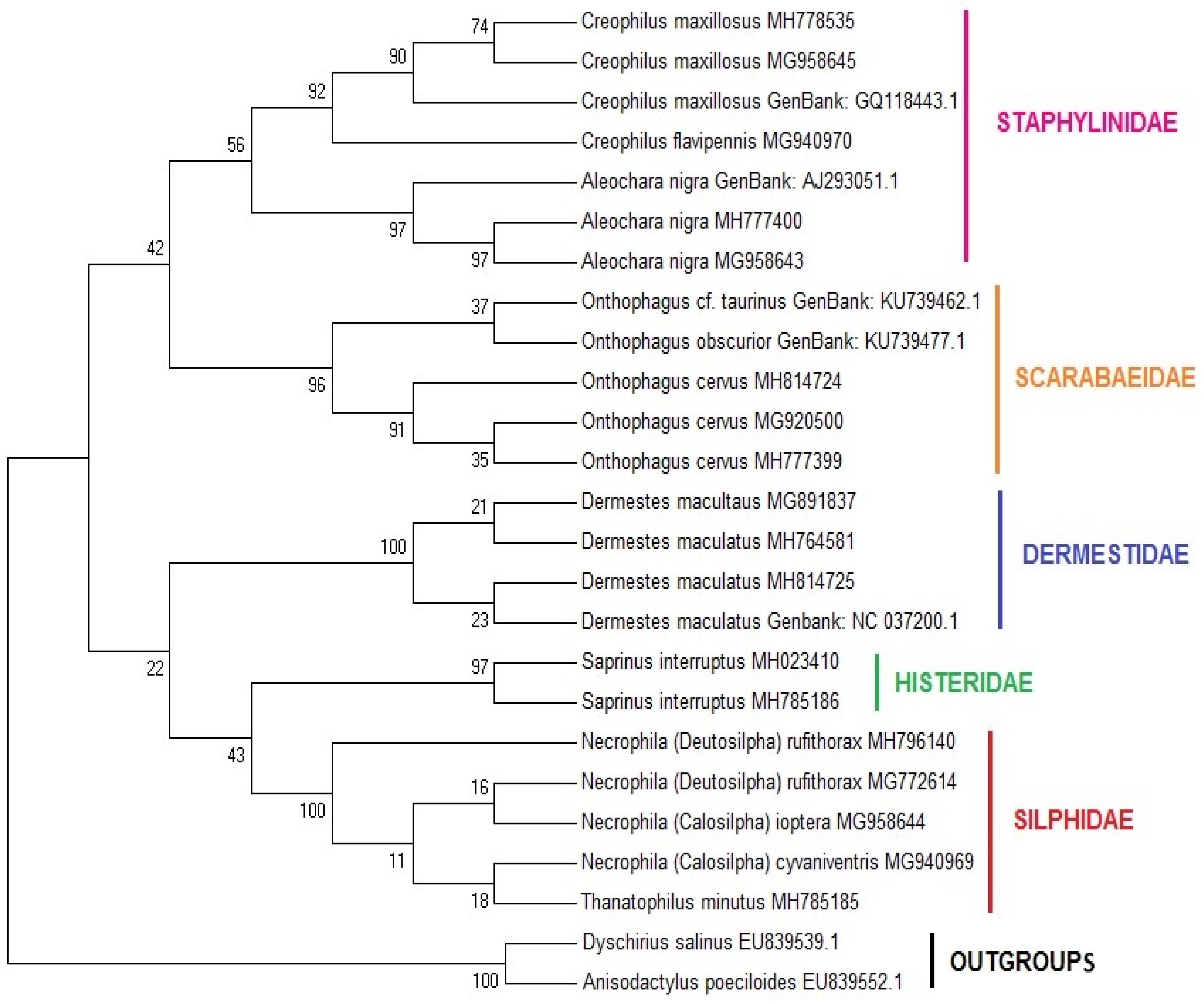 Diversity 14 00369 g004