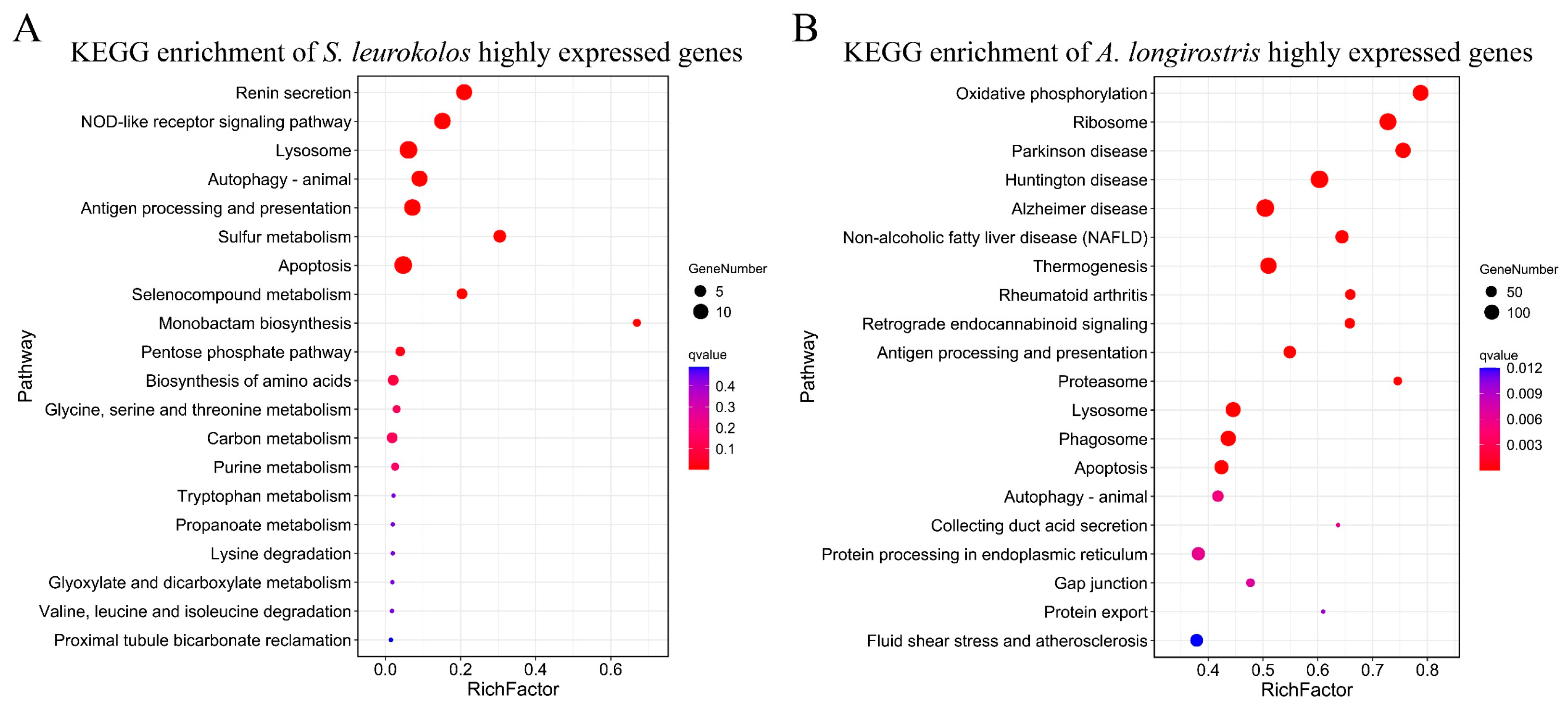 Diversity 14 00371 g002 Diversity 14 00371 g002