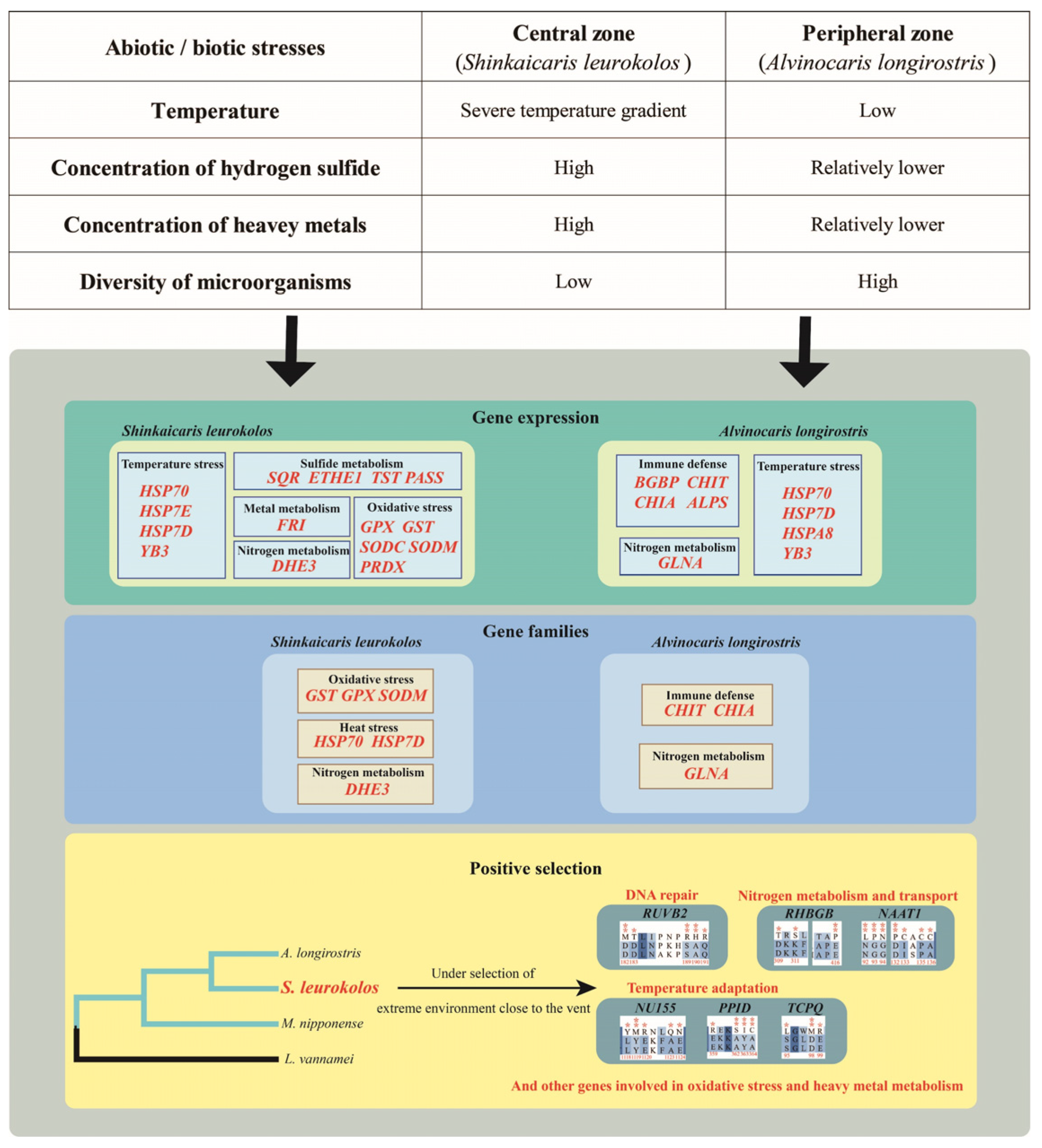 Diversity 14 00371 g003 Diversity 14 00371 g003
