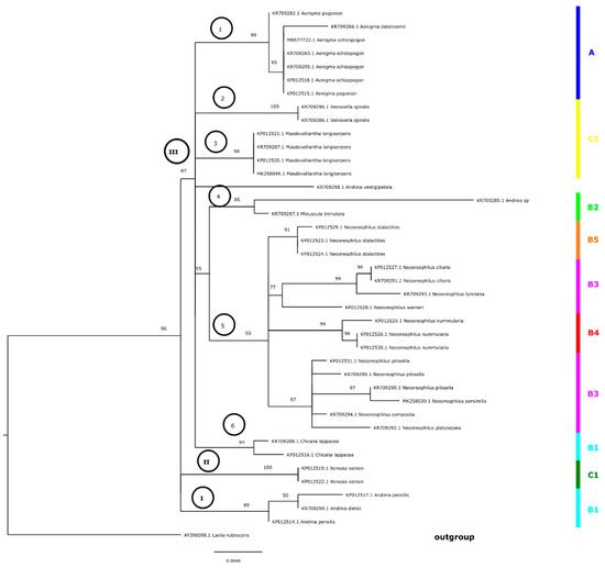 New Species and Nomenclatural Notes in the Pleurothallidinae