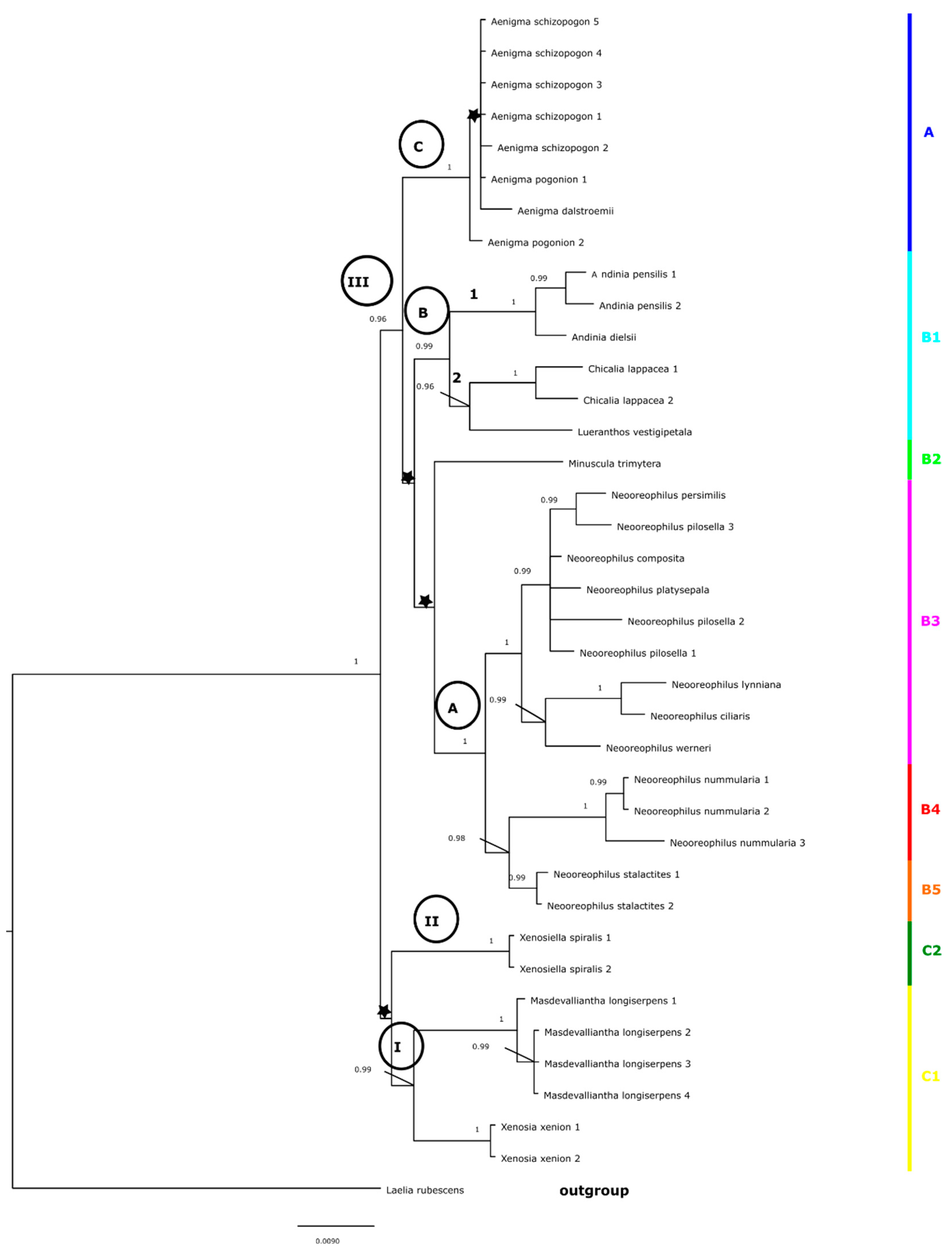Diversity 14 00372 g006