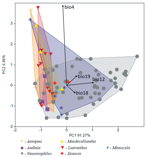 PDF) NEW SPECIES AND NOMENCLATURAL NOTES IN THE PLEUROTHALLIDINAE