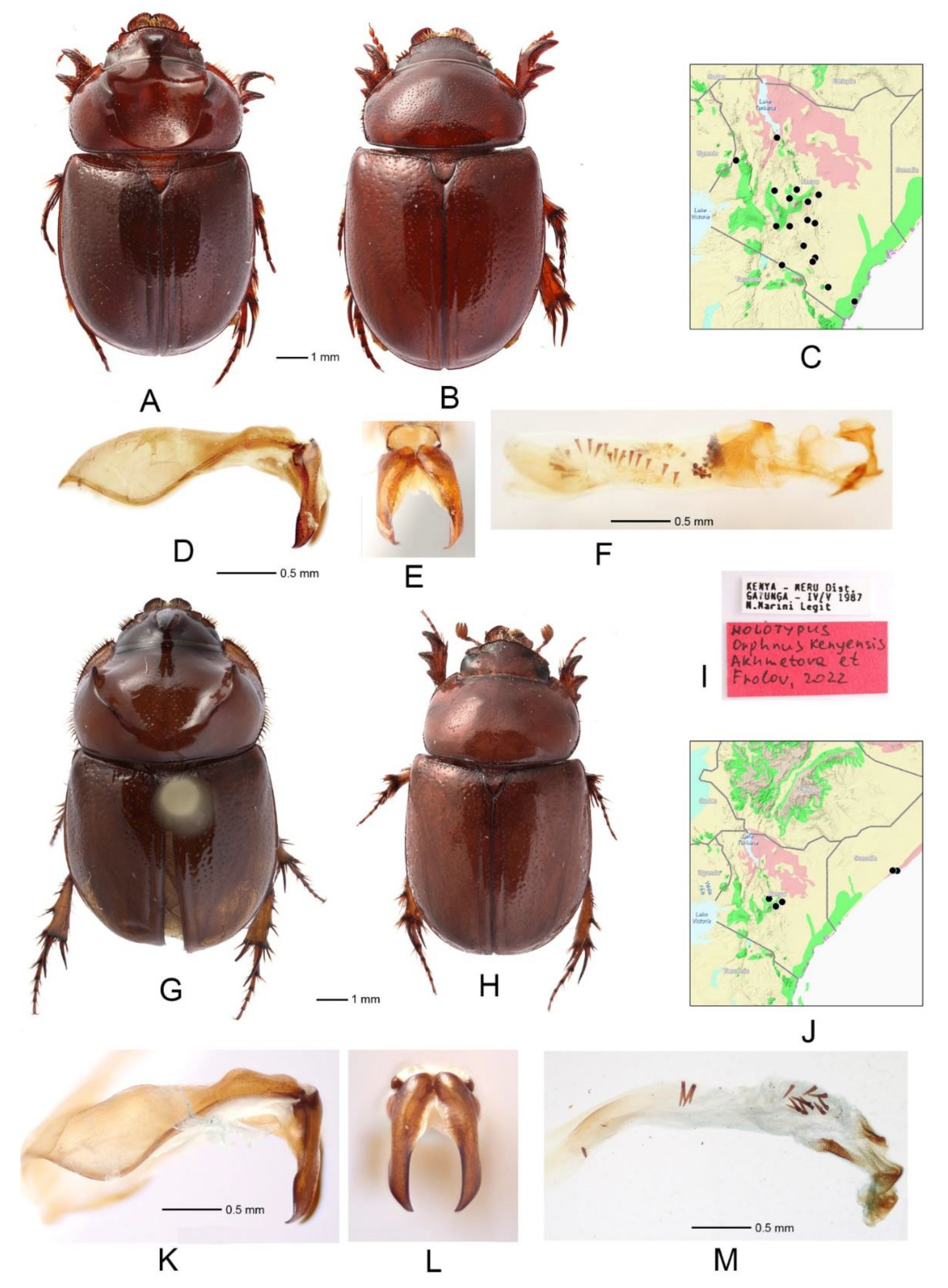 Diversity 14 00373 g002