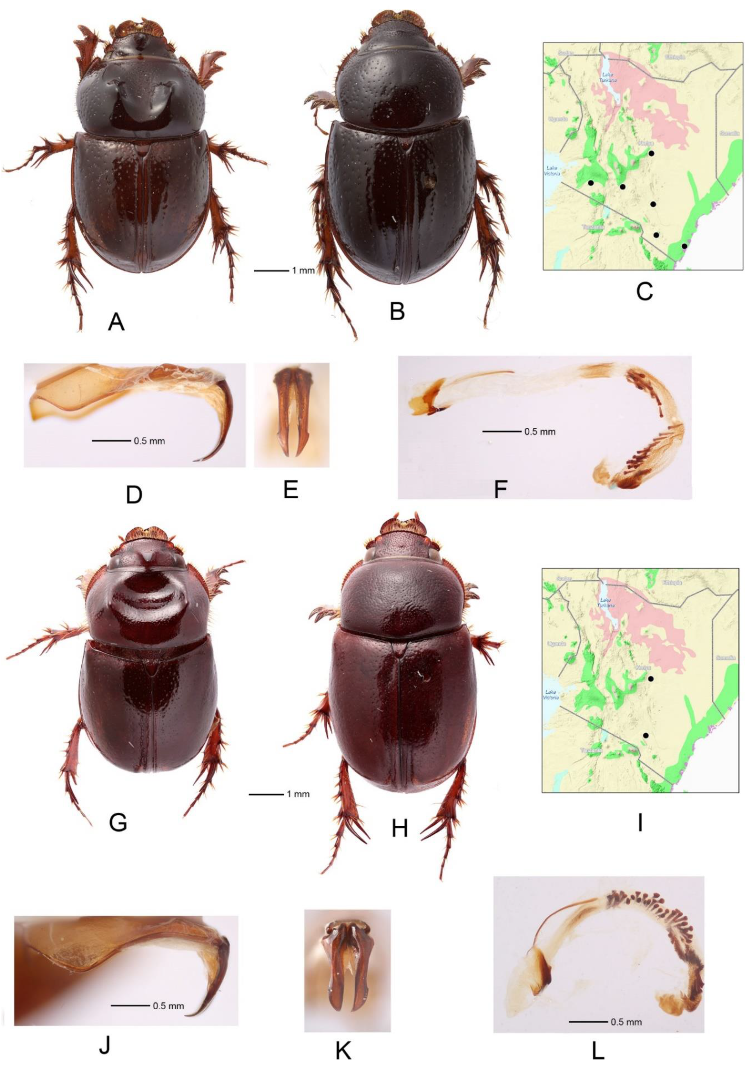 Diversity 14 00373 g003