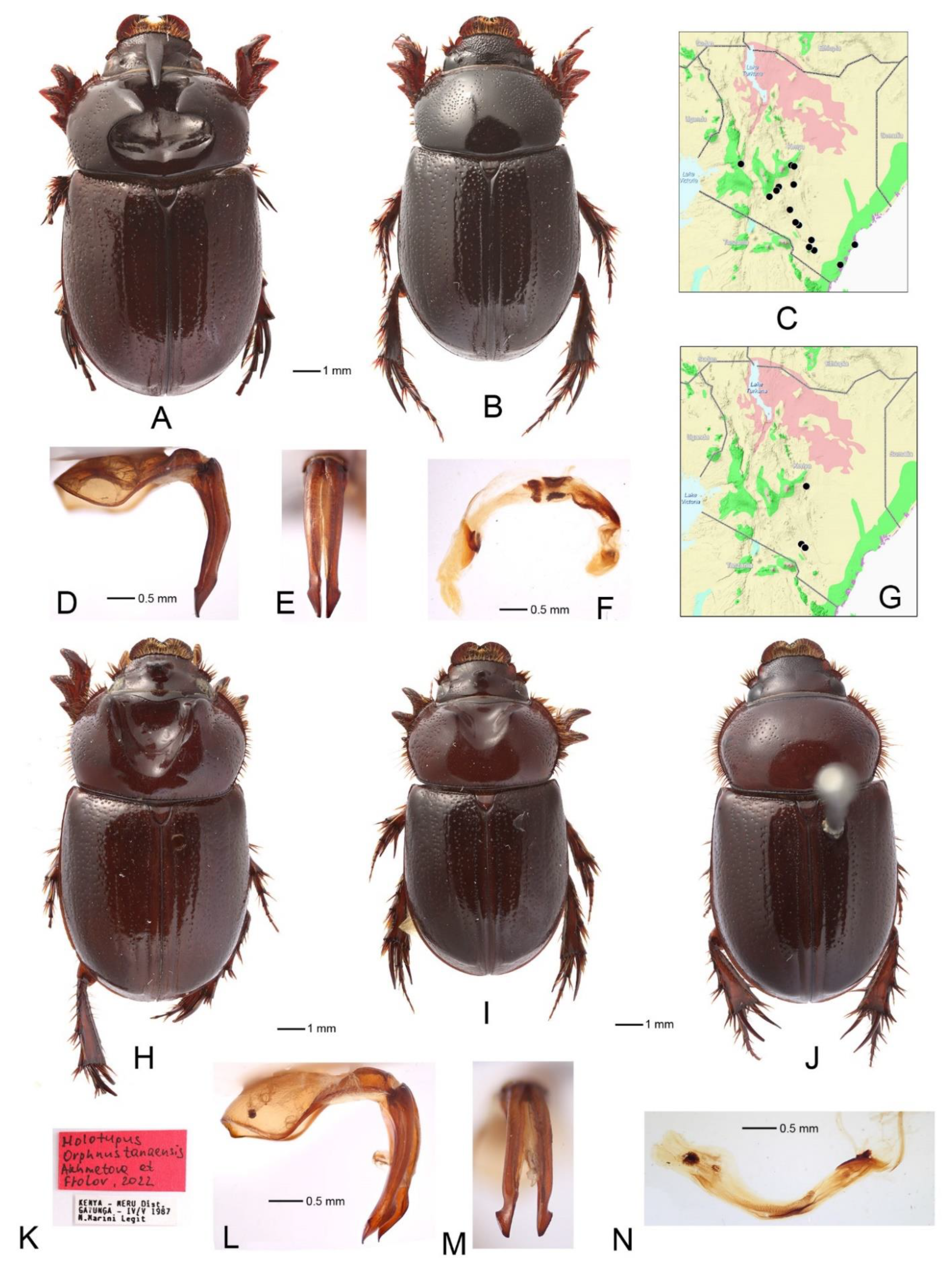 Diversity 14 00373 g005