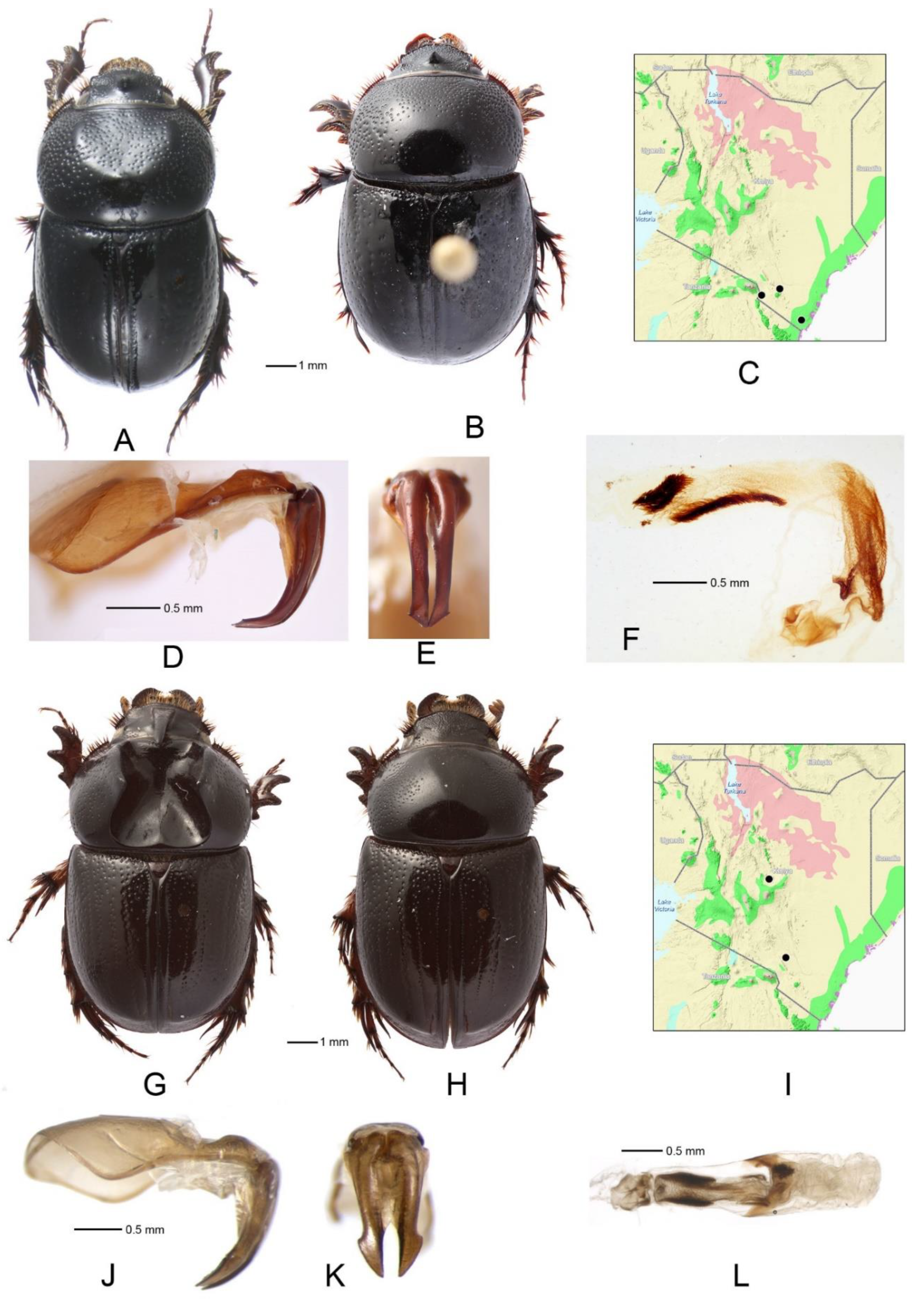 Diversity 14 00373 g006