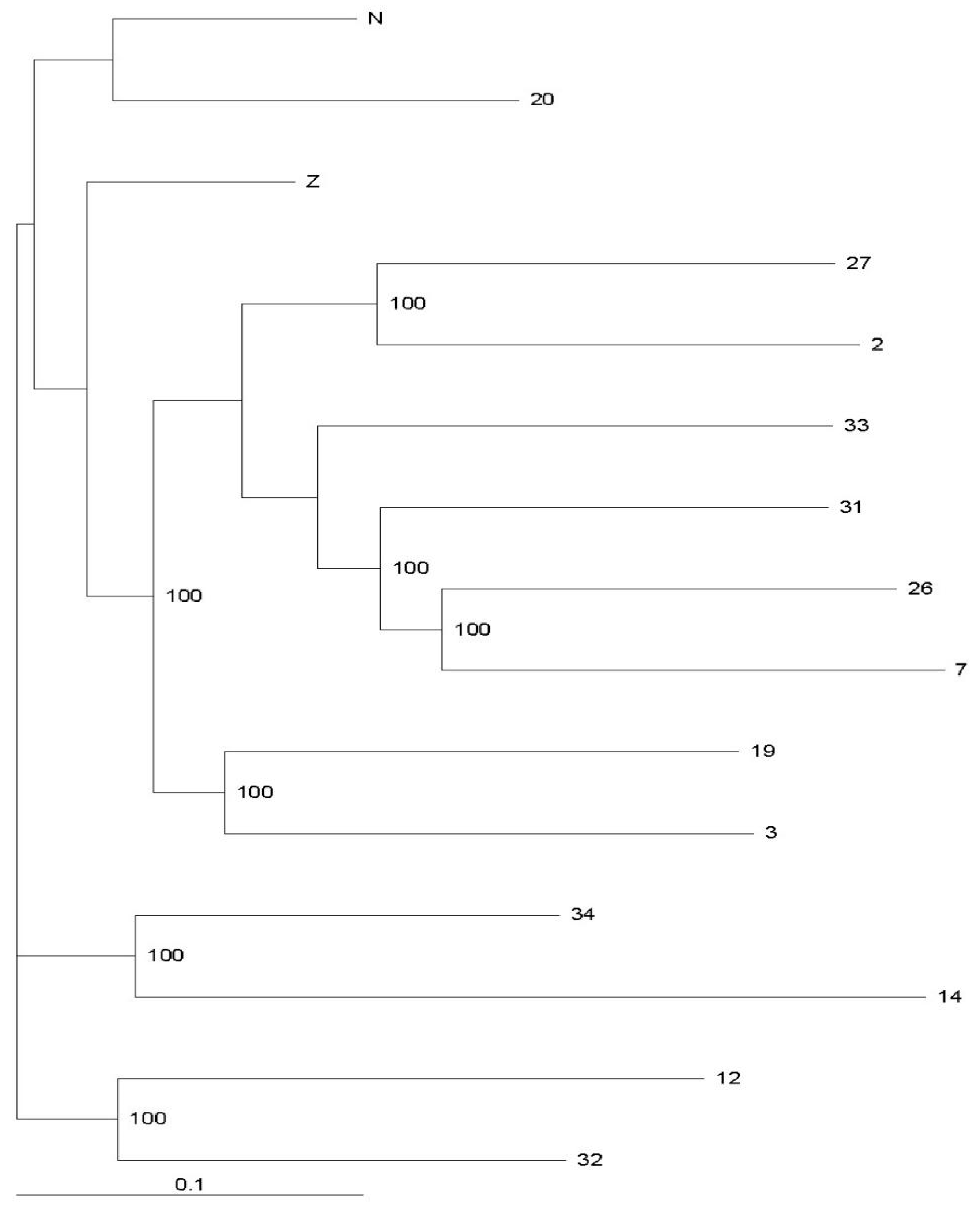Diversity 14 00374 g003