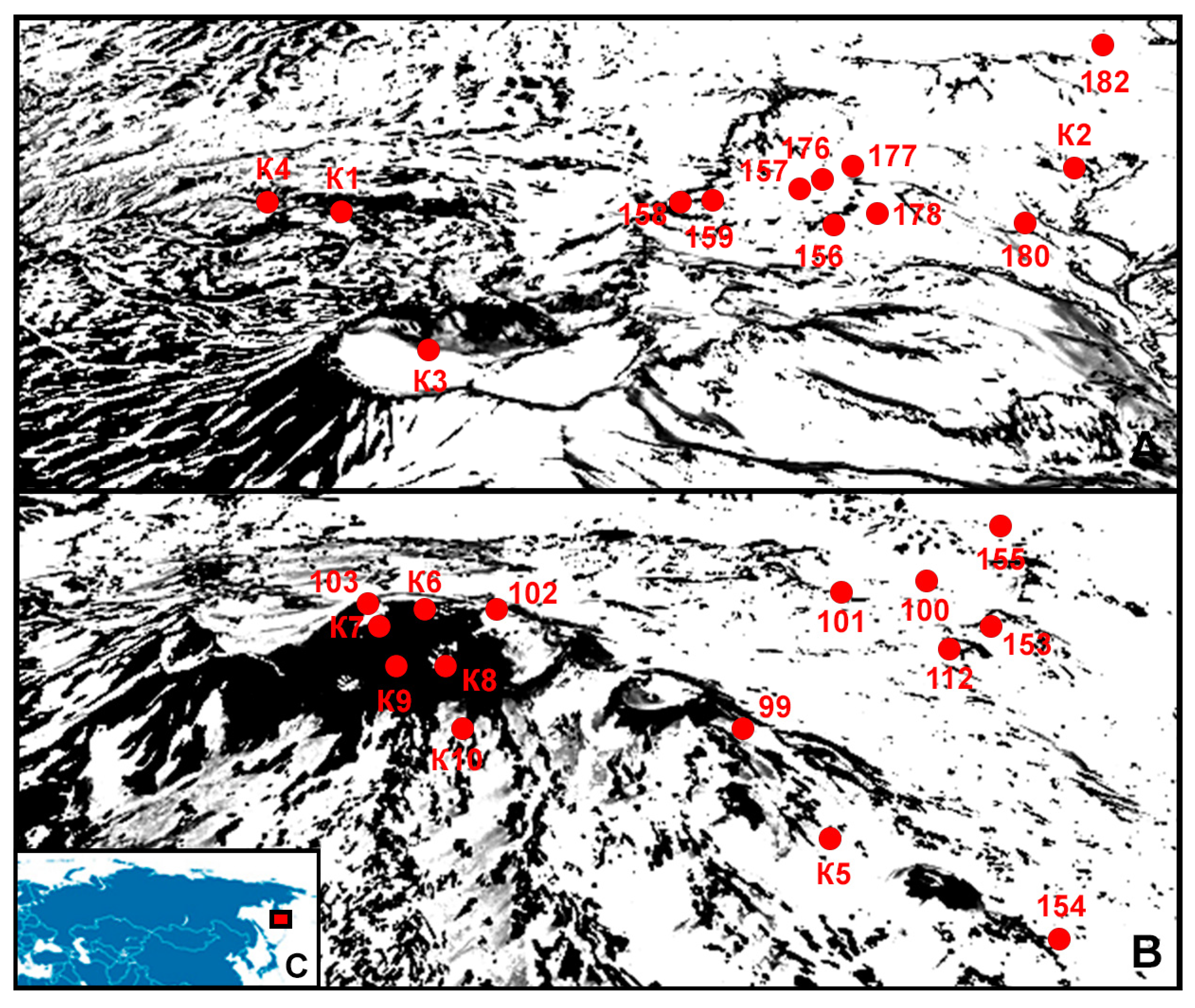 Diversity 14 00375 g001