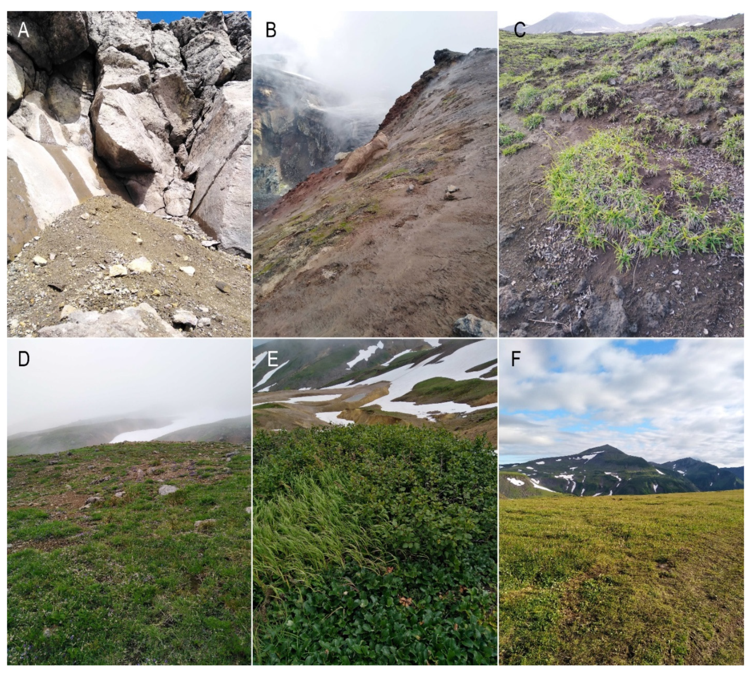 Diversity 14 00375 g002